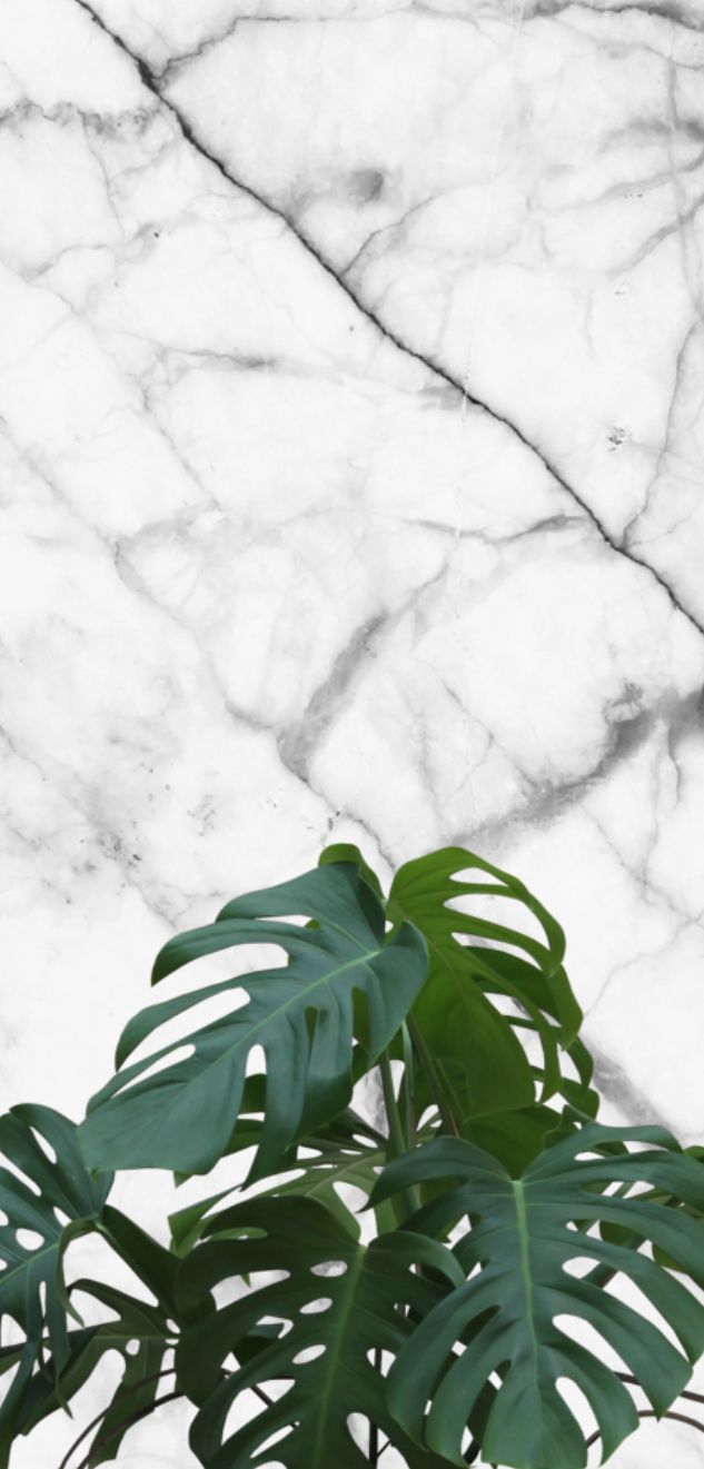 Marble With Plant Wallpaper
