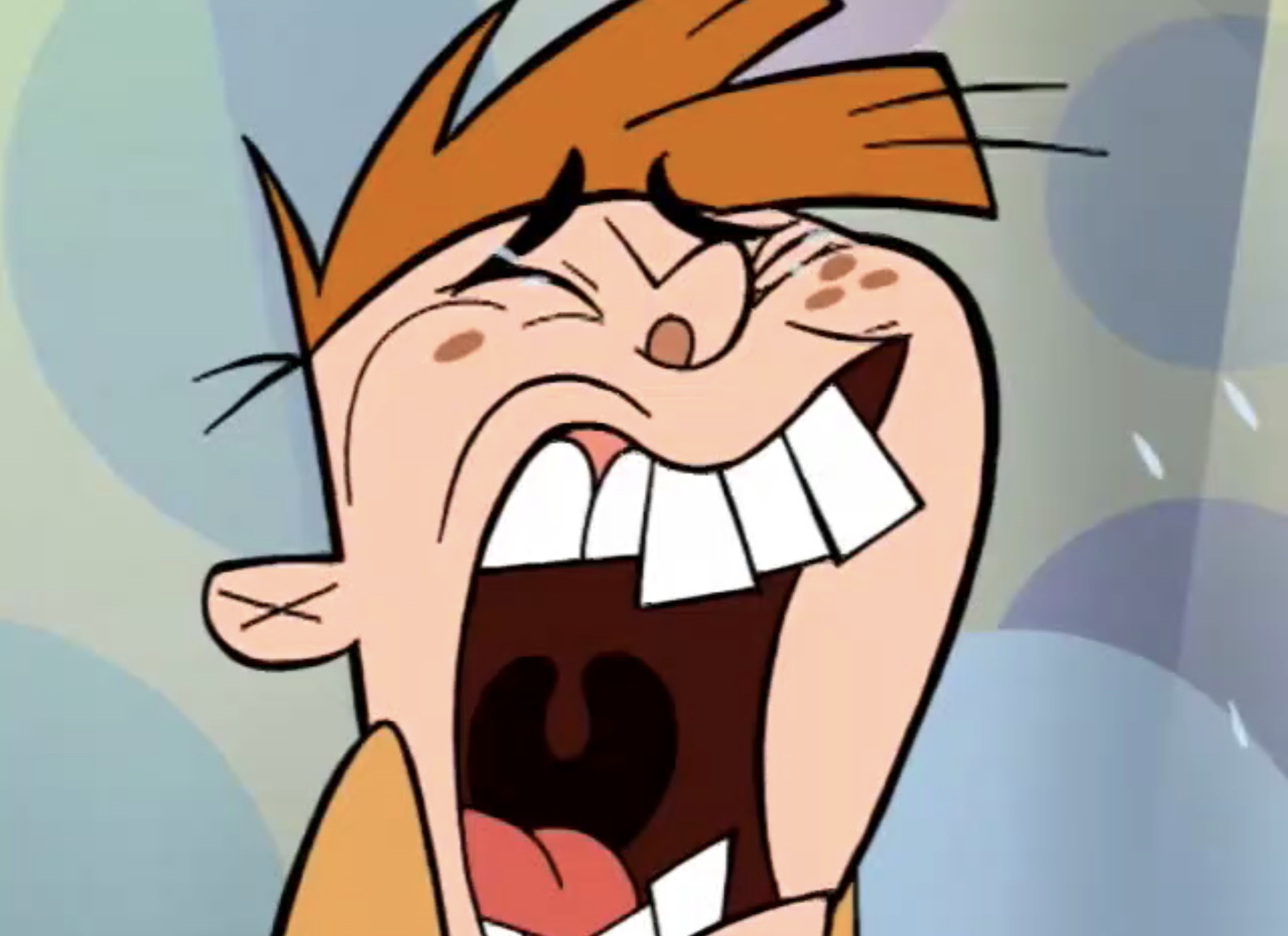 My Gym Partner's A Monkey Supplies Party She's Koala That (TV Episode 2006)