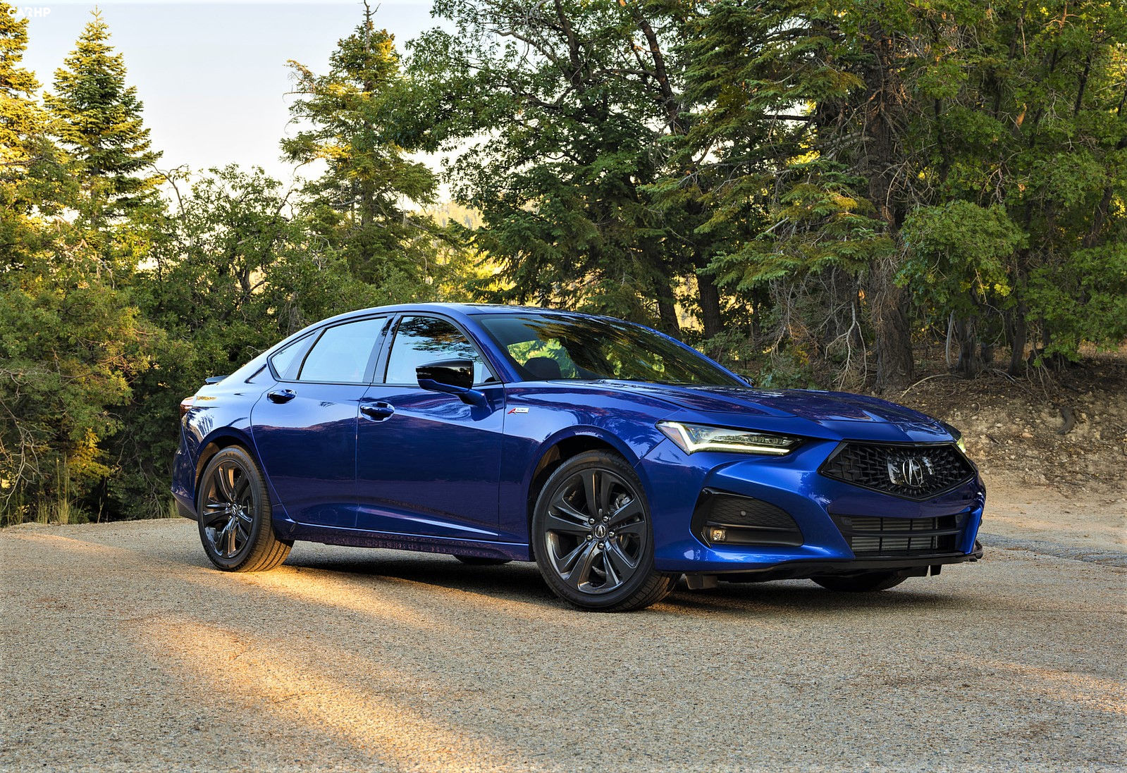 2022 Acura TLX Pricing, Review, Picture and Specs