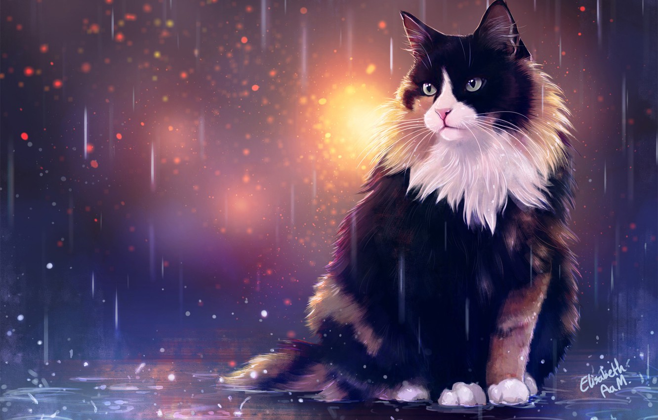 Wallpaper Drops, Figure, Cat, Autumn, Cat, Rain, Art, Cat, Illustration, Animal, Cats, Elisabeth Aarebrot Madsen, by Elisabeth Aarebrot Madsen, Autumn cats image for desktop, section арт