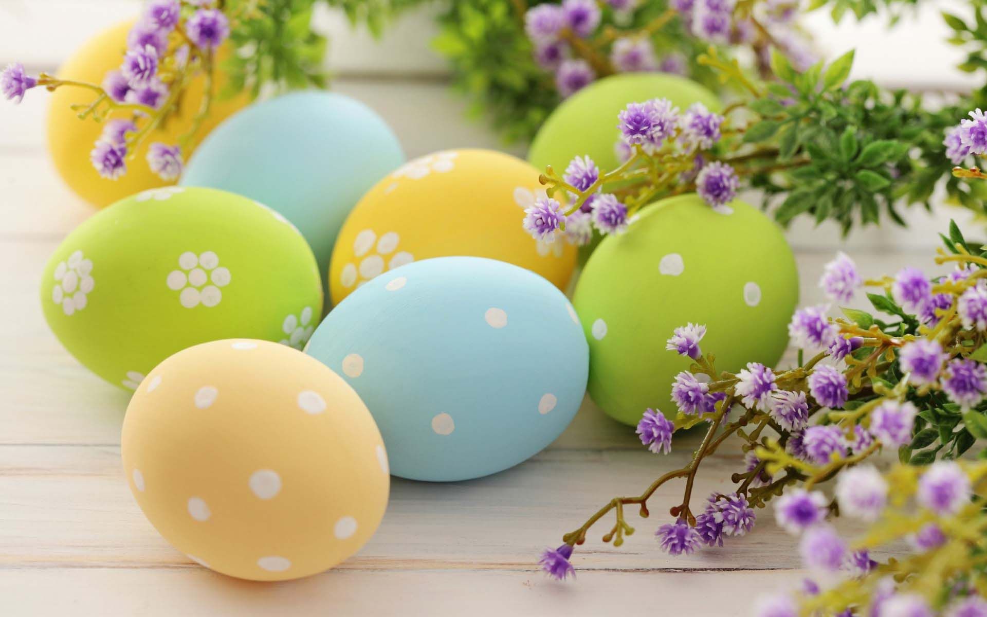Wonderful painted Easter eggs and purple flowers
