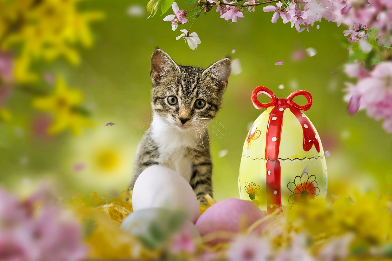 Cat Kitten Easter Eggs