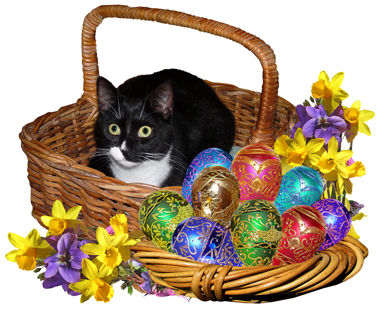 Easter Eggs Cat