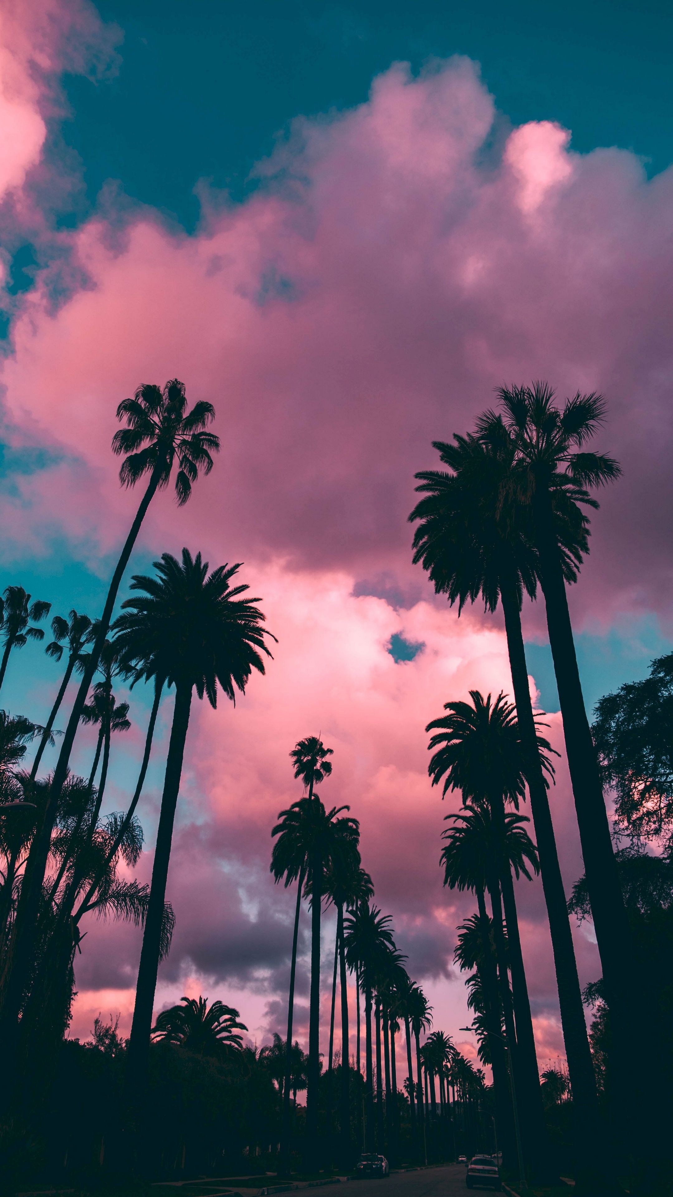 Palm trees sunset by Roberto Nickson [2160x3840]. Sunset iphone wallpaper, Tree sunset wallpaper, Scenery wallpaper