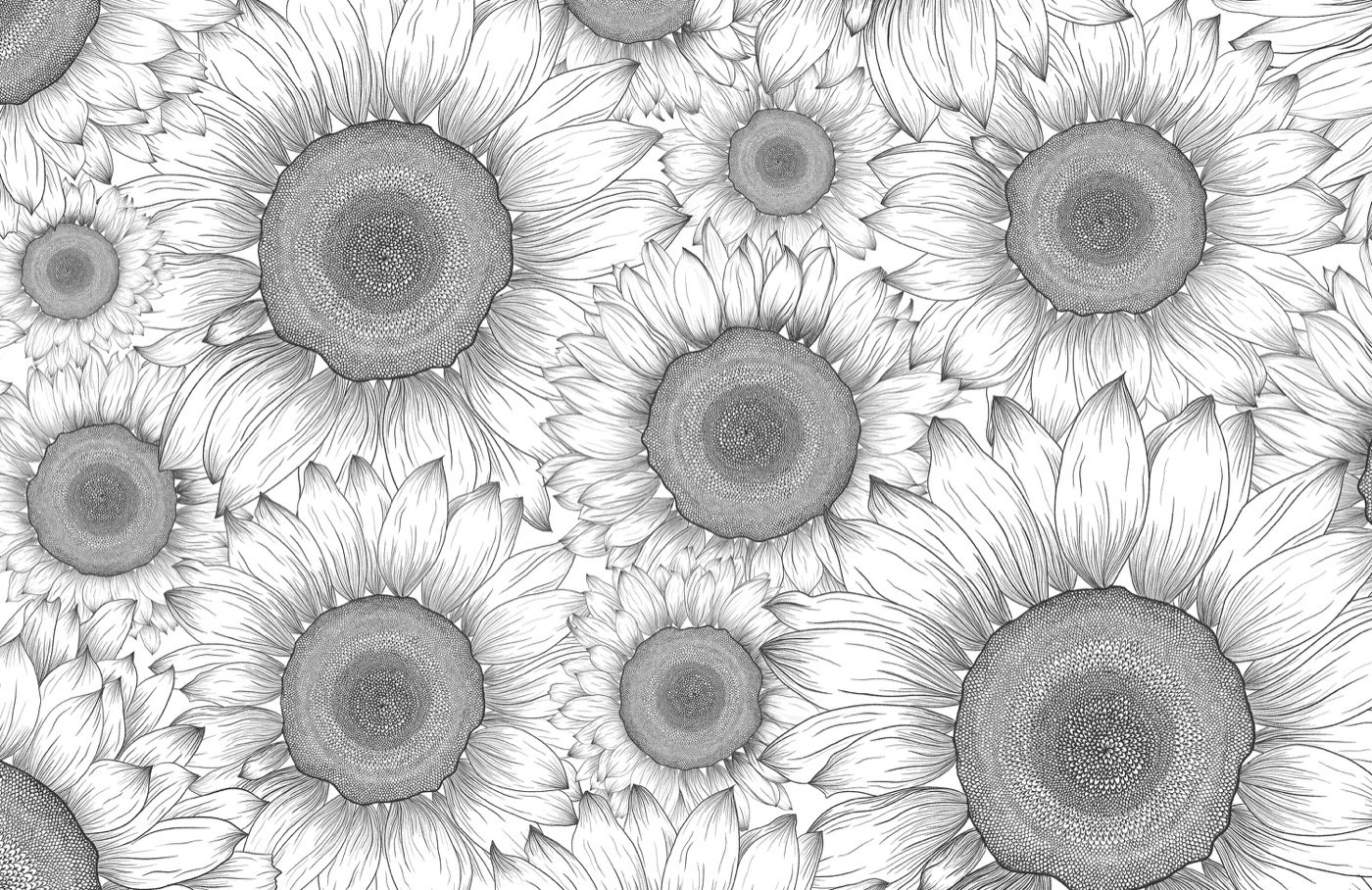 Black & White Sunflower Wallpaper Mural