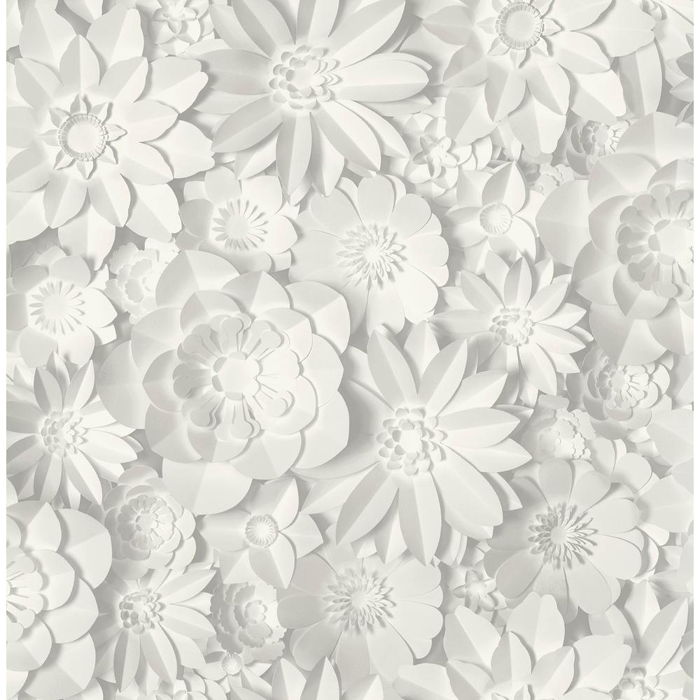 White Flower Wallpaper, HD White Flower Background on WallpaperBat