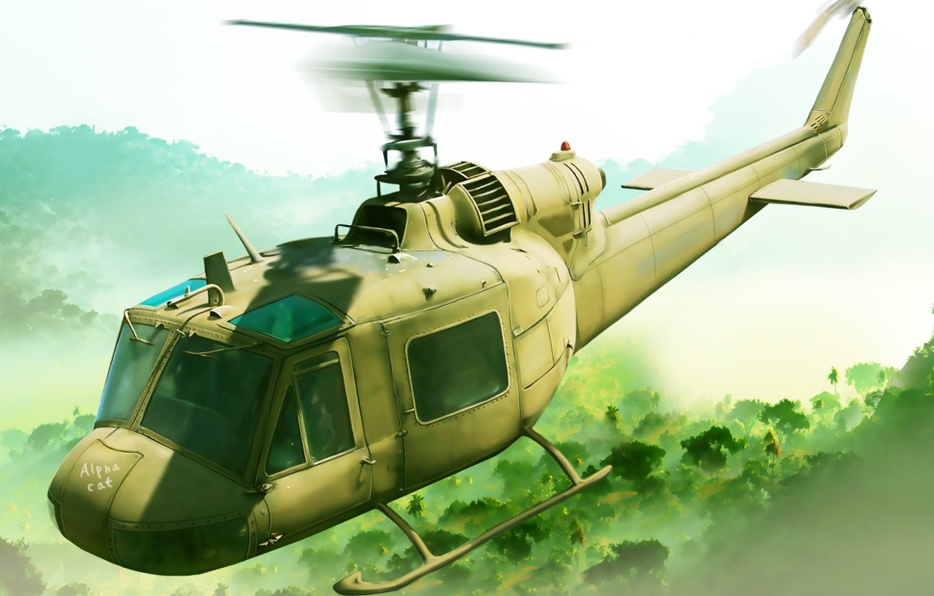 Wallpaper Figure, Helicopter, American, Multipurpose, Bell, UH 1, Iroquois, Mohawk, Huey, Hog Image For Desktop, Section авиация