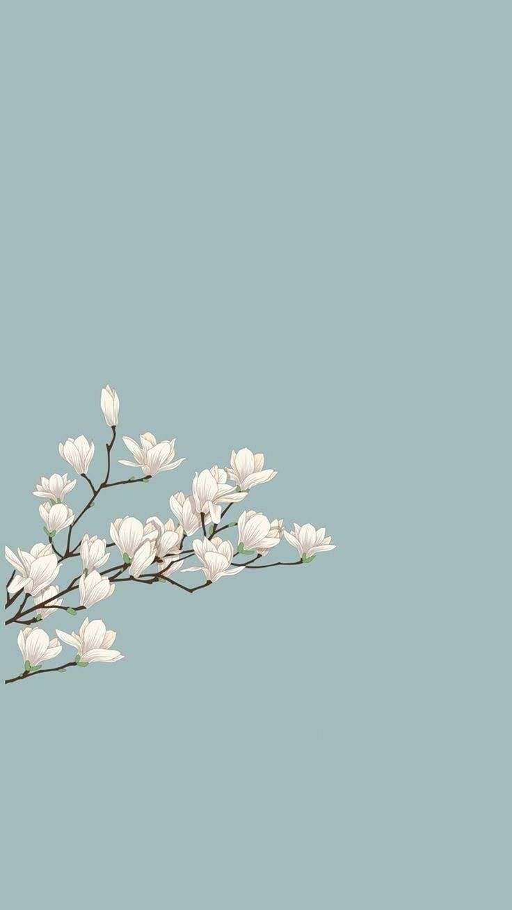 br. Simple iphone wallpaper, Minimalist wallpaper, Aesthetic iphone wallpaper