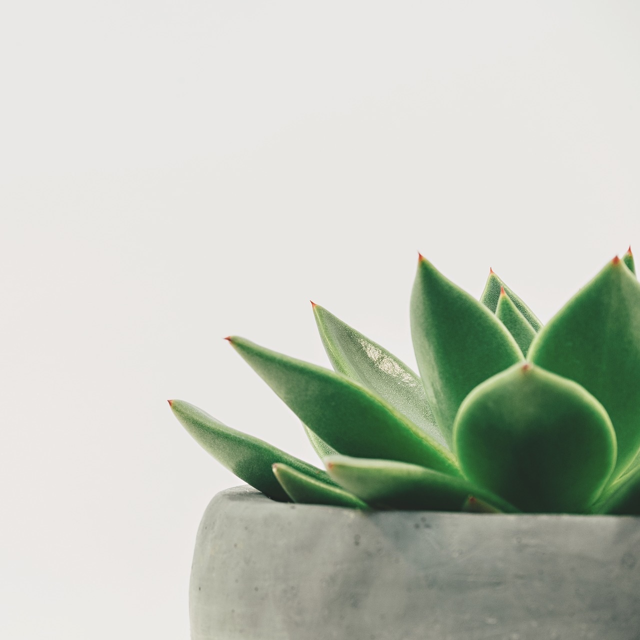 Digital Minimalism: 3 Questions For Long Term Success And Happiness