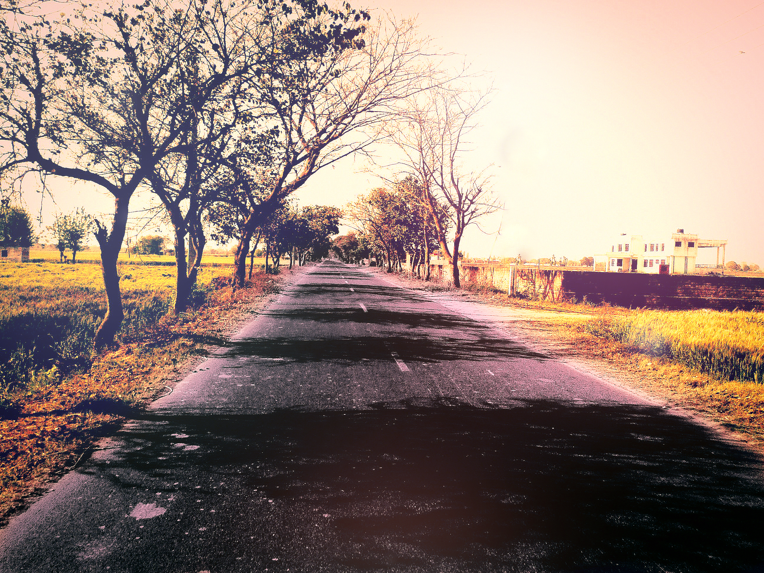 long way to go before i sleep