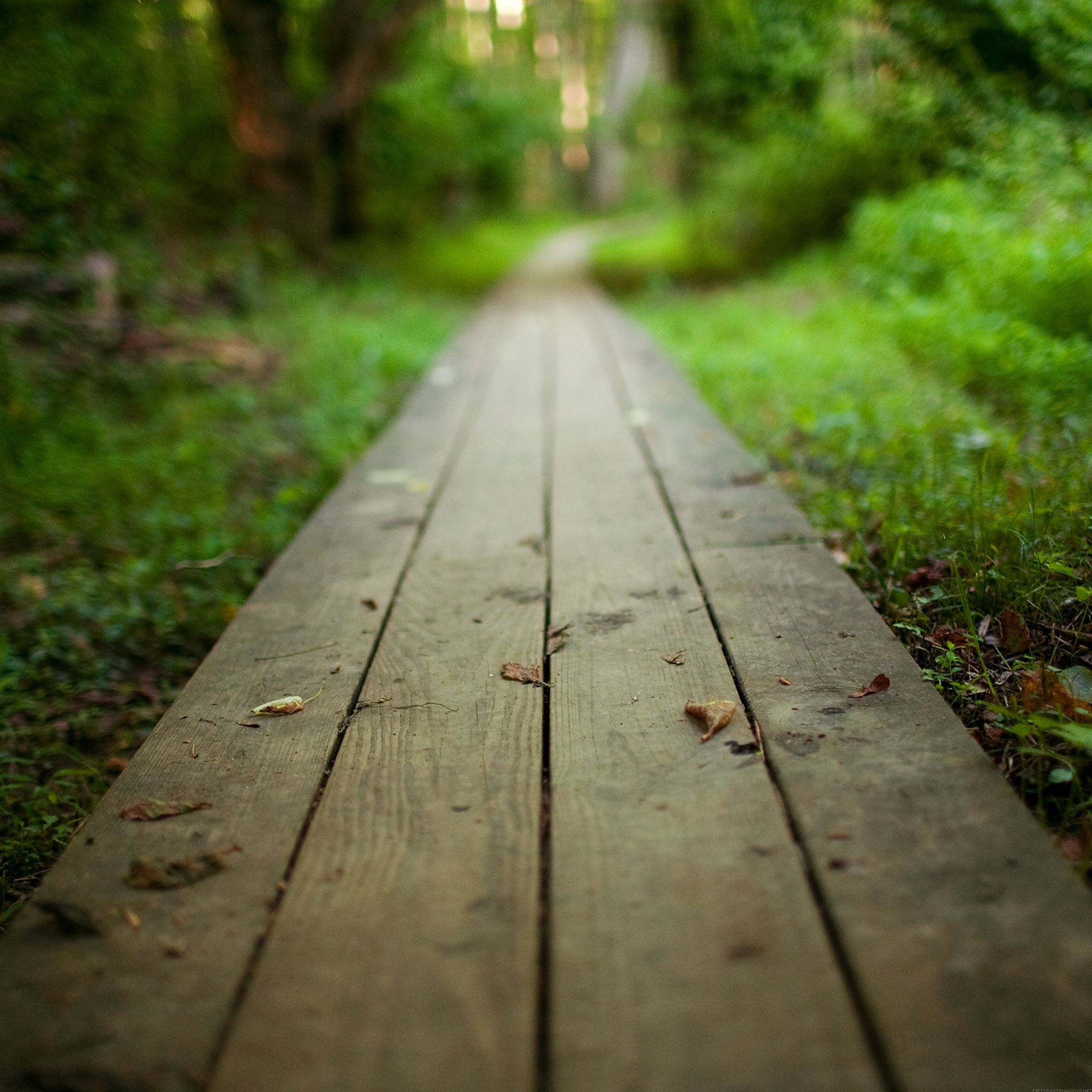 Nature Park Long Wooden Road iPad Air Wallpaper Free Download