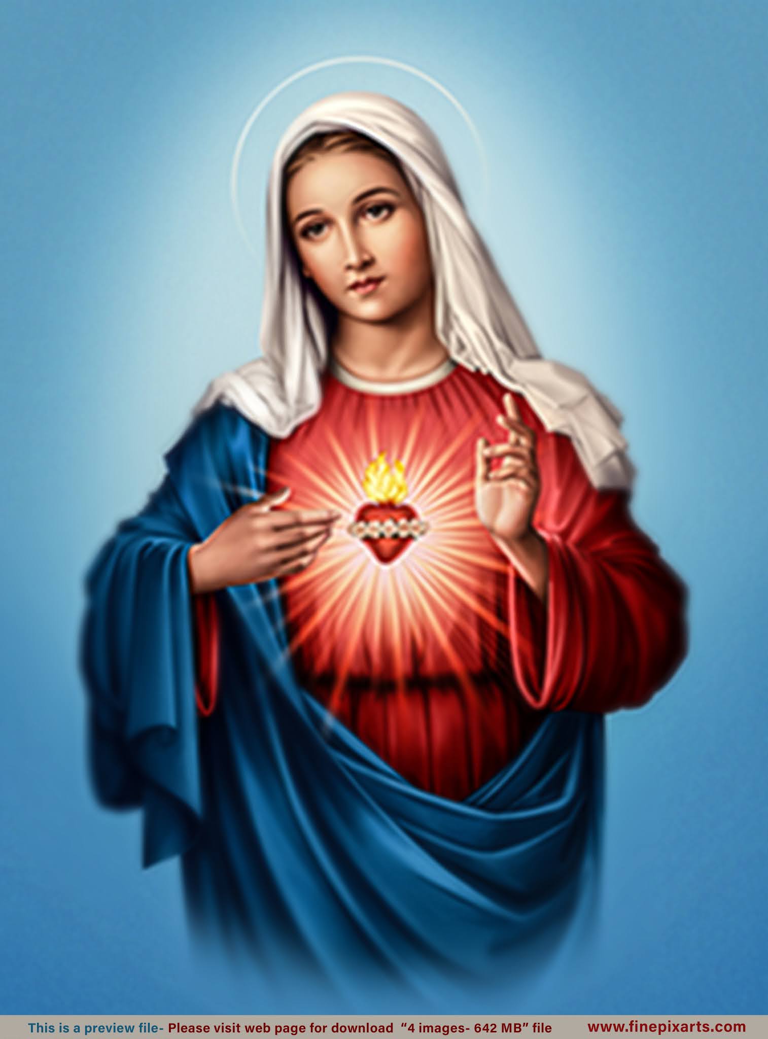 The Immaculate Heart Of Mary Wallpapers Wallpaper Cave