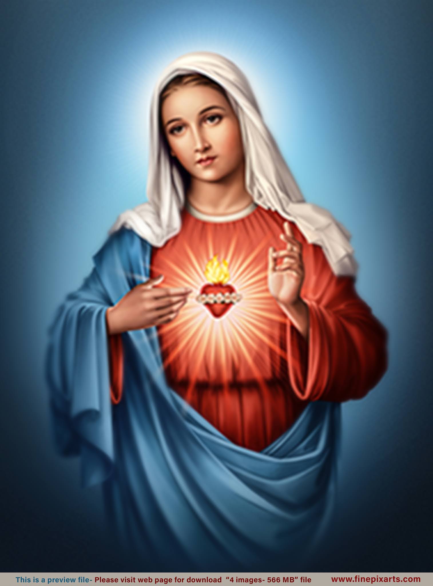 The Immaculate Heart Of Mary Wallpapers - Wallpaper Cave