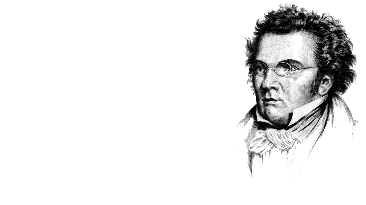 Franz Schubert Quotes. QuotesGram