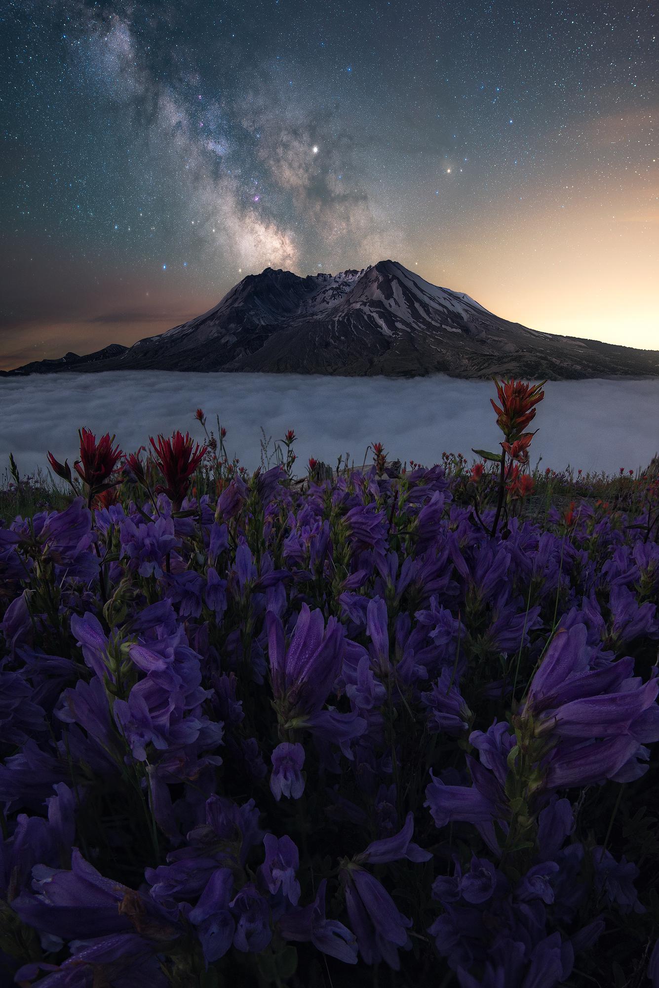Mt St Helens under a clear night sky (OC) [1335x2000] @rosssvhphoto