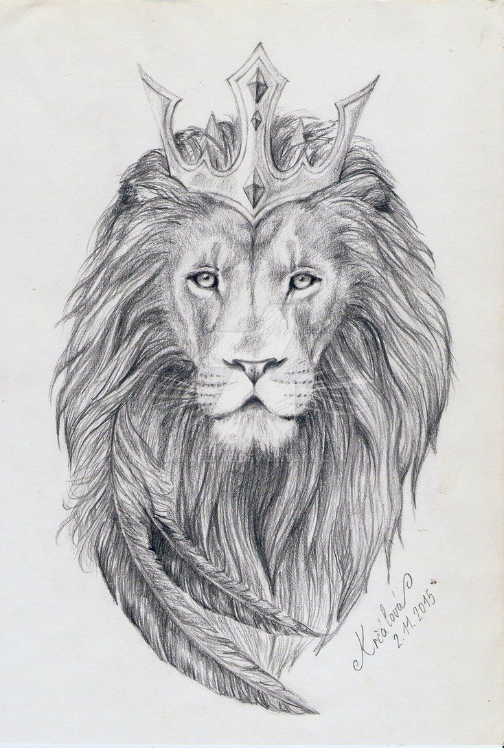 Crown Lion Sketch Art Wallpaper Wallpaper HD. Lion sketch, Tattoo design drawings, Lion tattoo