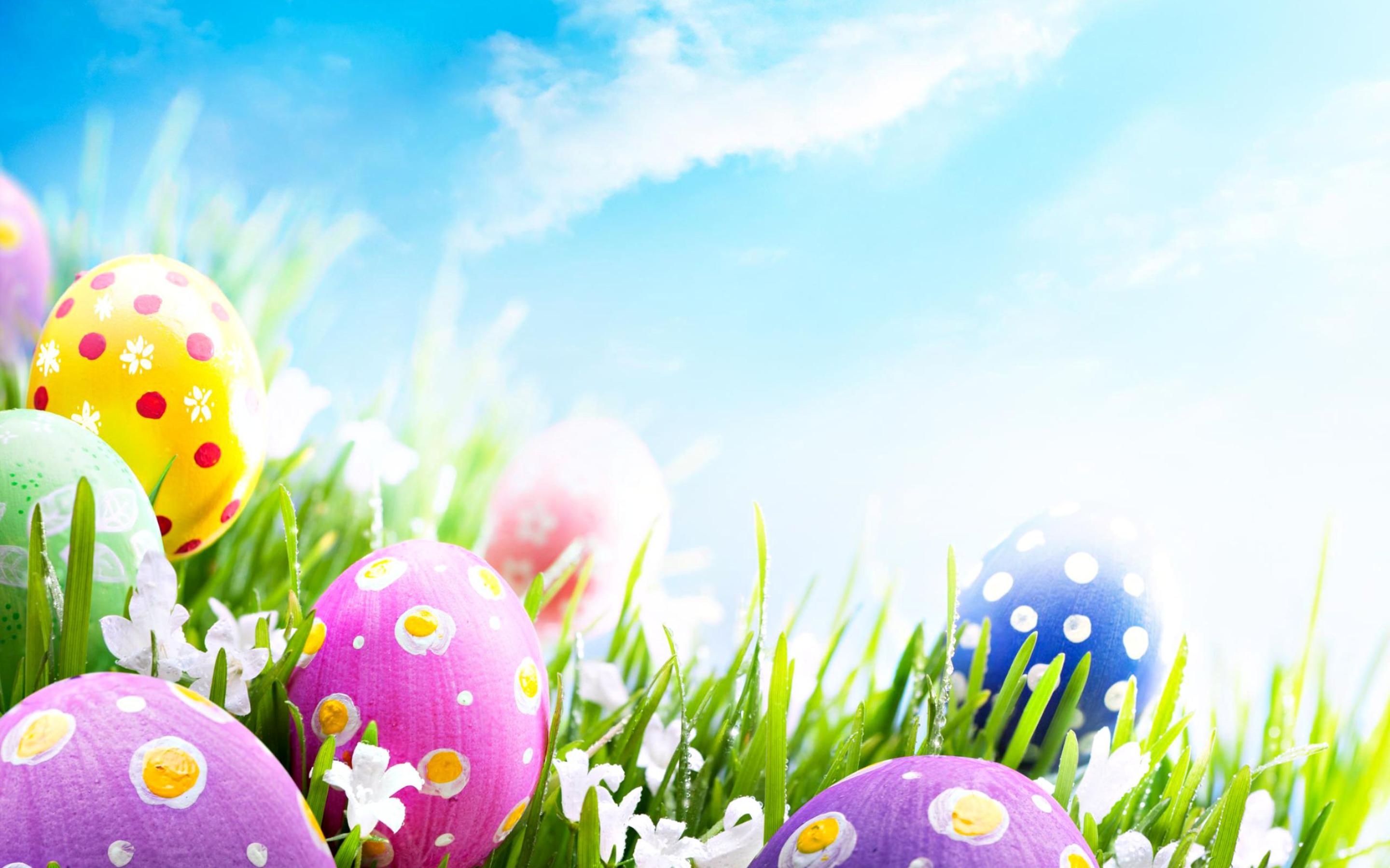 Good morning wonderful spring Easter Holiday