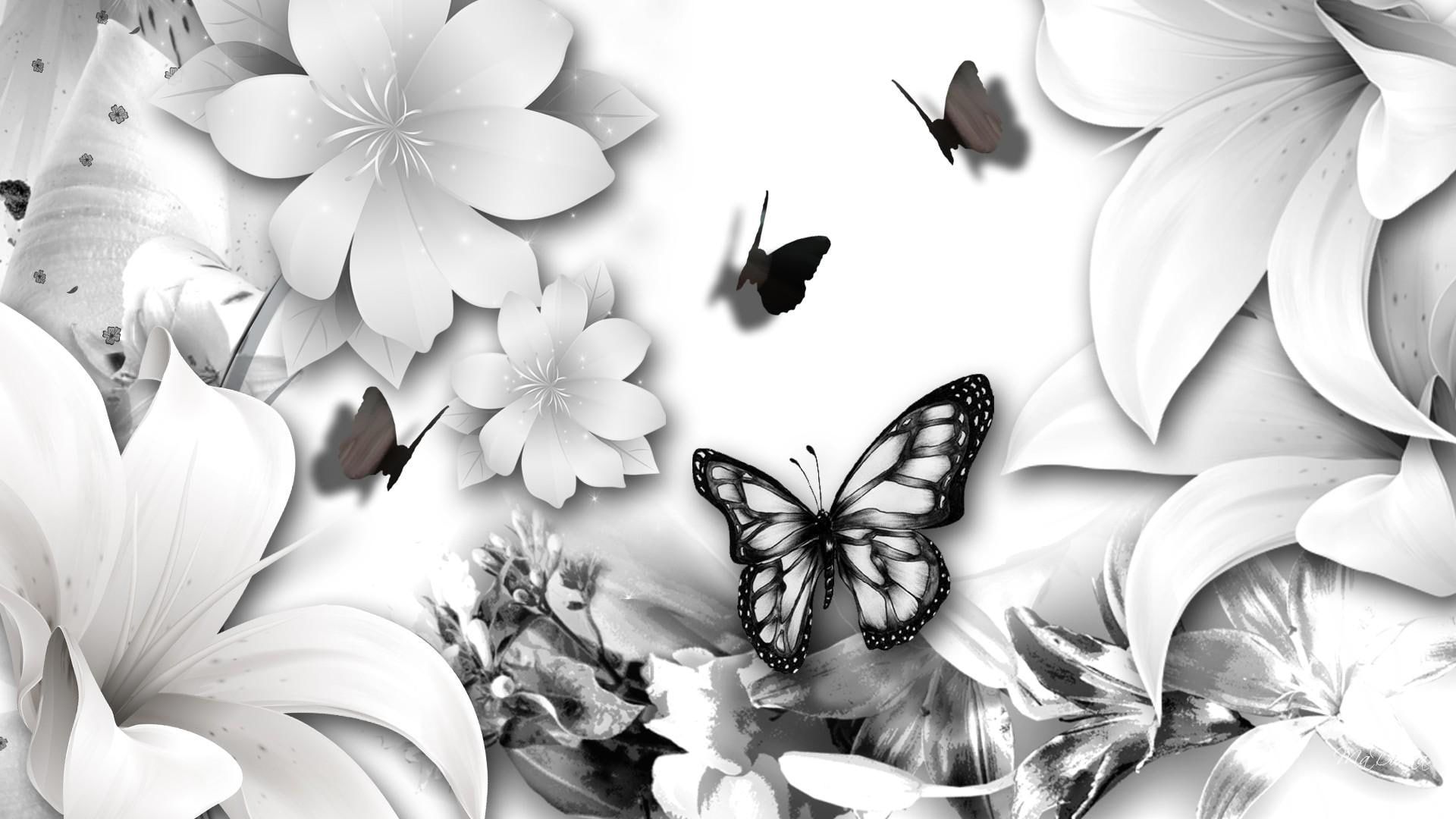 Lily Black White #spring #easter #tint black and white #butterfly #flowers #lil. Butterfly black and white, Black and white background, White background wallpaper