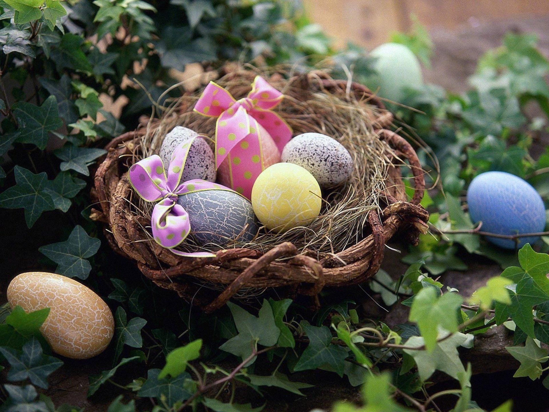 Holiday Easter Egg Basket Vine Nest Bow (Clothing) Wallpaper. Easter wallpaper, Easter egg designs, Easter greetings