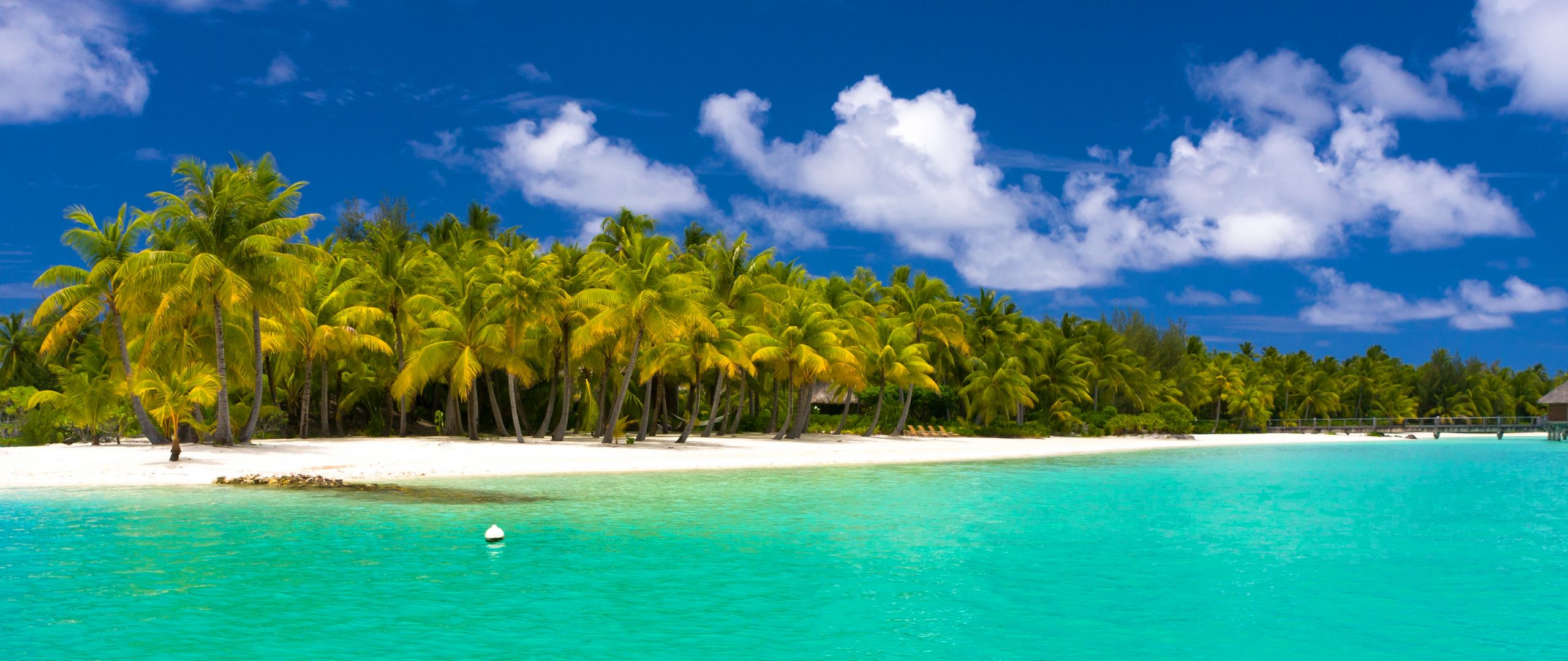 Download wallpaper 2560x1080 summer, maldives, tropical, beach, palm trees dual wide 1080p HD background