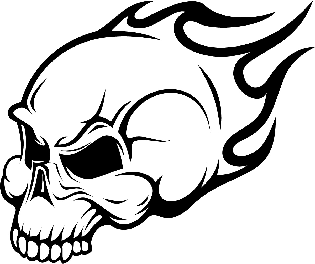 Free Skull Drawing Image, Download Free Skull Drawing Image png image, Free...
