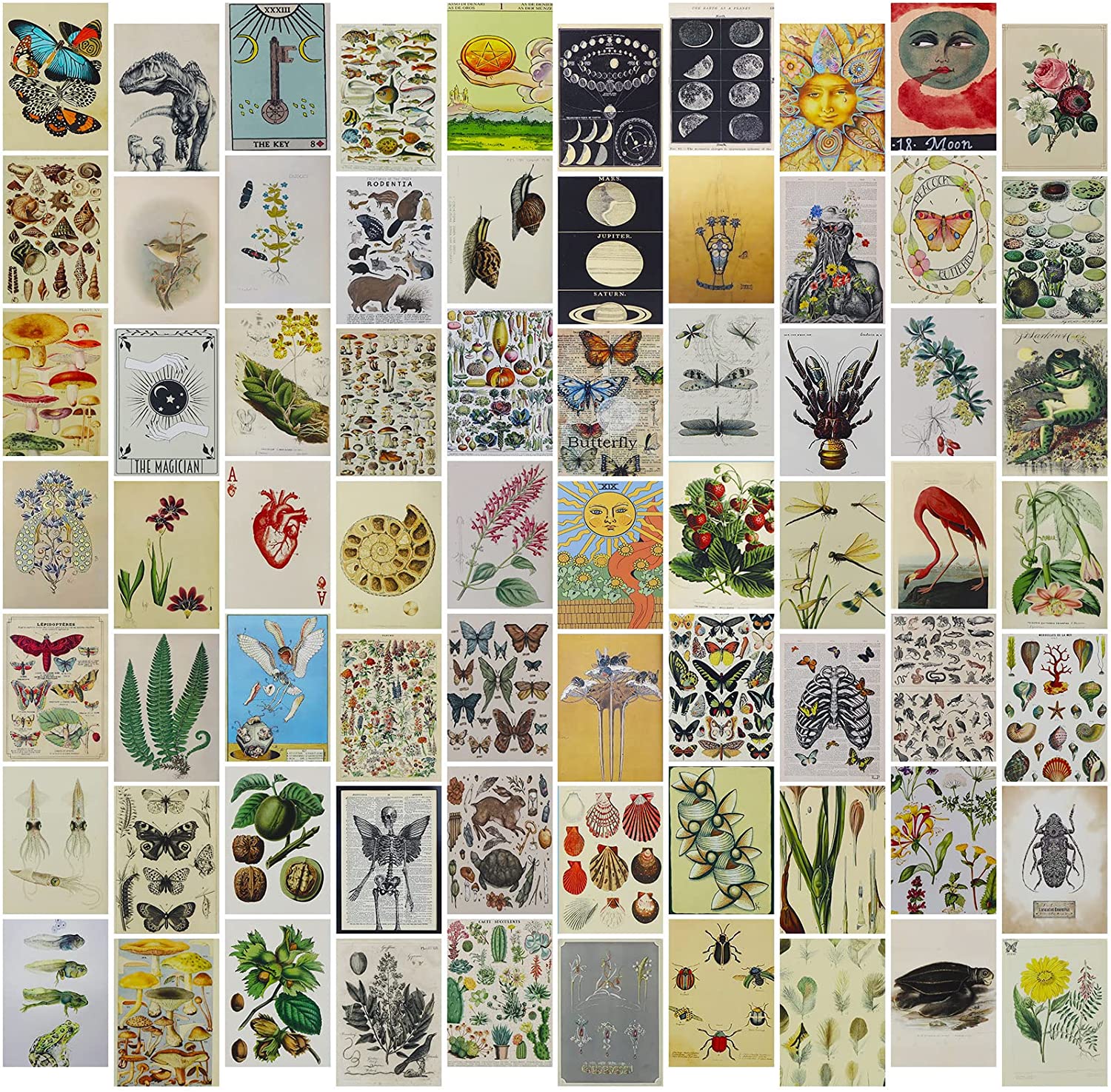 Vintage Wall Collage Kit, Nature Aesthetic Picture for Bedroom, VSCO Posters, Boho Photo Wall Decor for Girls Boys, Cottagecore Room Decor, Dorm Botanical Wall Art (70 pcs): Posters & Prints