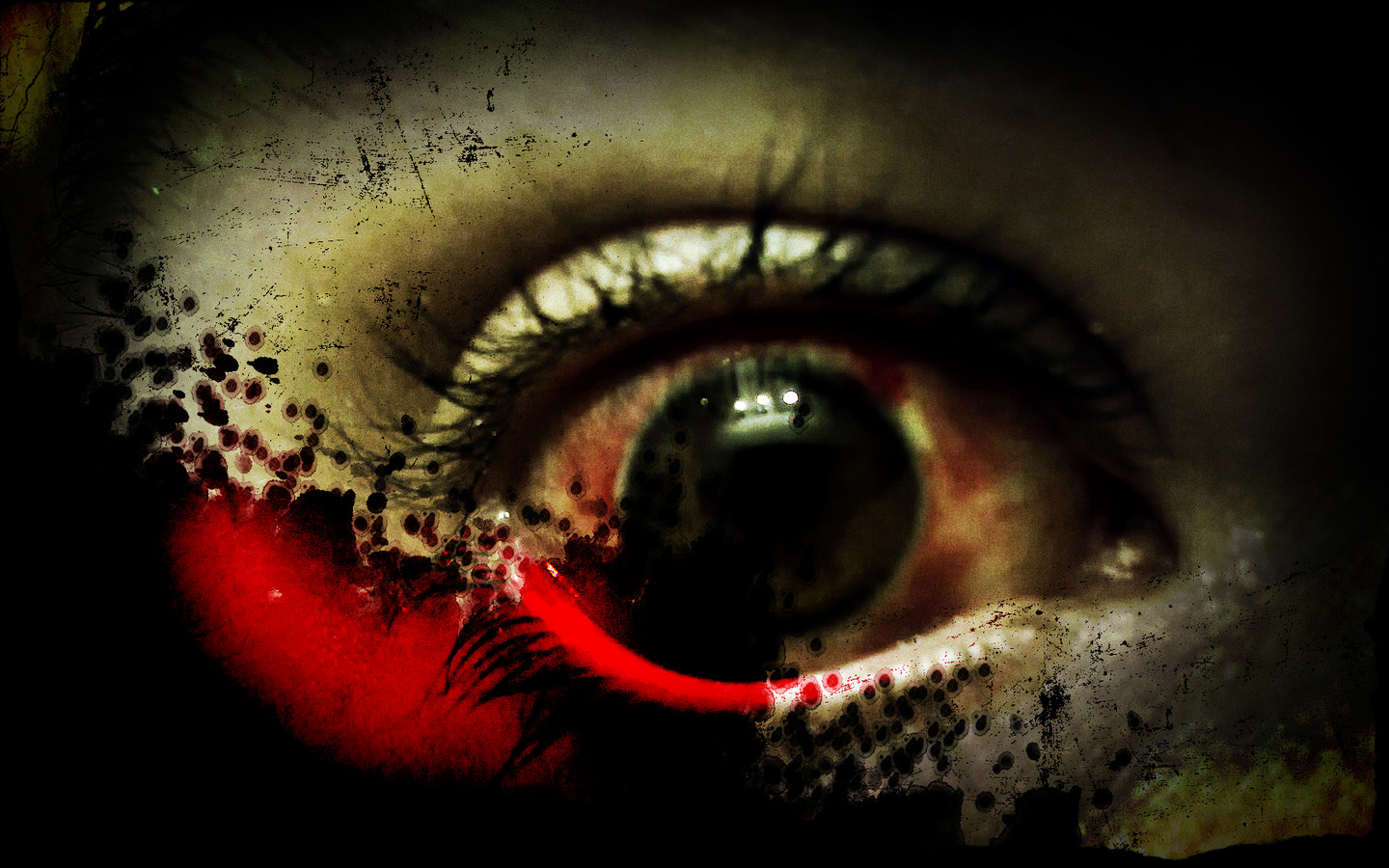 Free download Horror evil eyes in fear Wallpaper 1440x900 PIXHOME [1440x900] for your Desktop, Mobile & Tablet. Explore Evil Eye Wallpaper. Evil Eye Wallpaper, Eye Wallpaper, Septic Eye Wallpaper