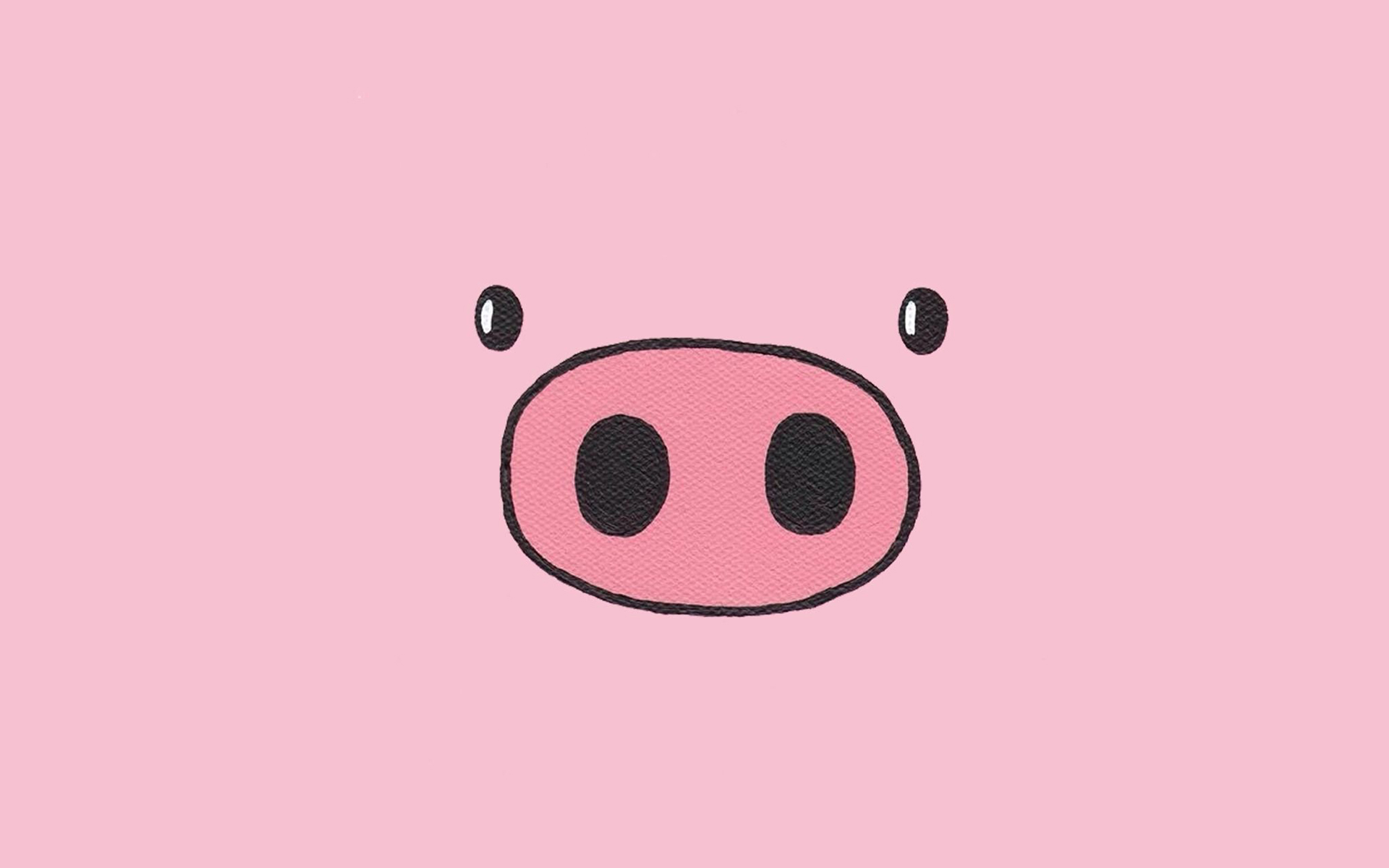 Cute Pig Desktop Wallpaper HD