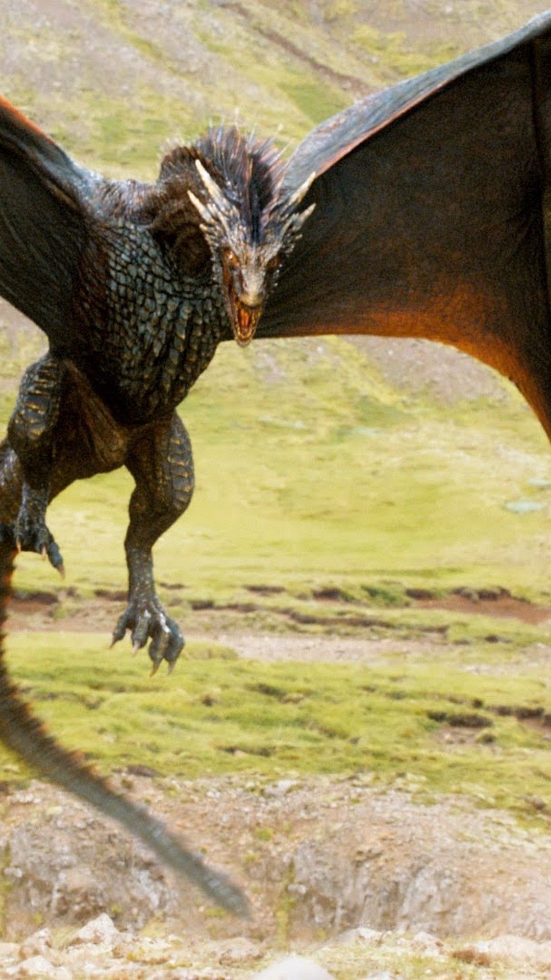 Game of Thrones Dragons Wallpaper iPhone iPhone Wallpaper. Game of thrones dragons, Drogon game of thrones, Dragon wallpaper iphone