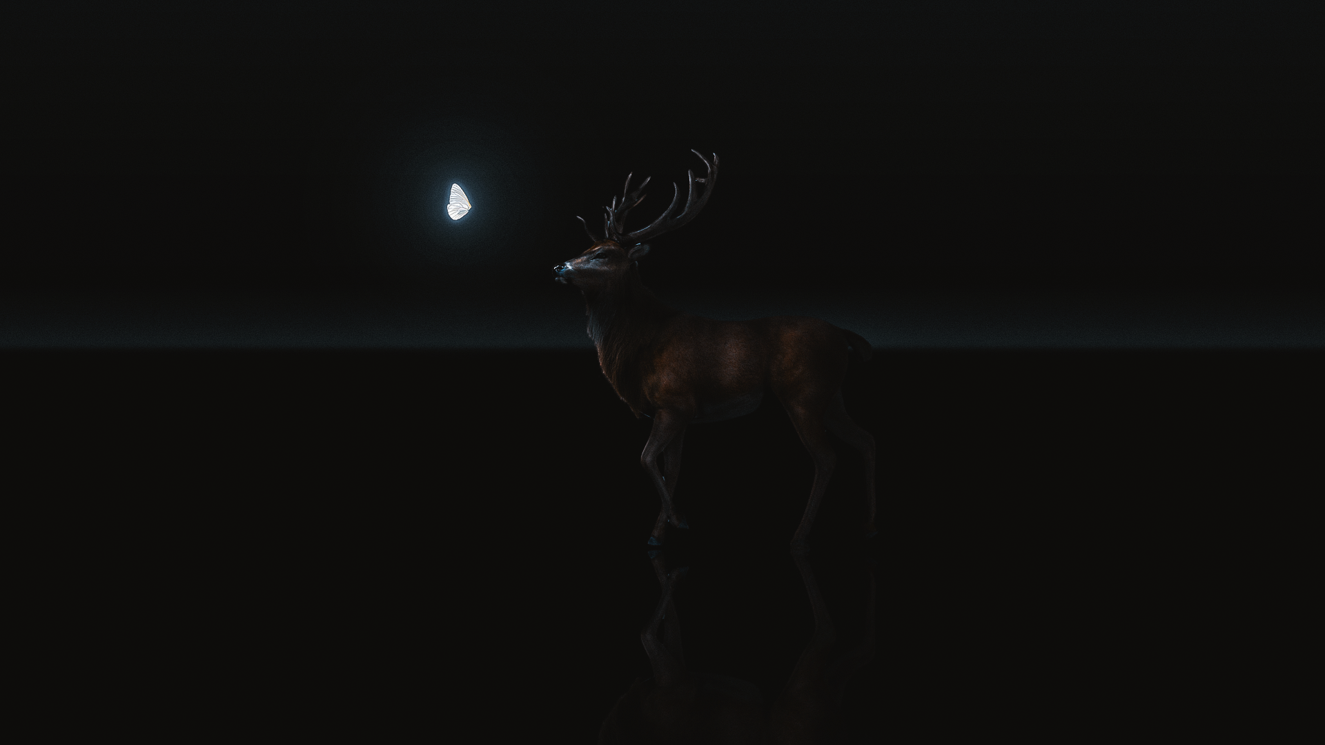 Chill Out Anime Color Burst Color Correction Dubstep Music Matiasdubtep Wallpaper:1920x1080