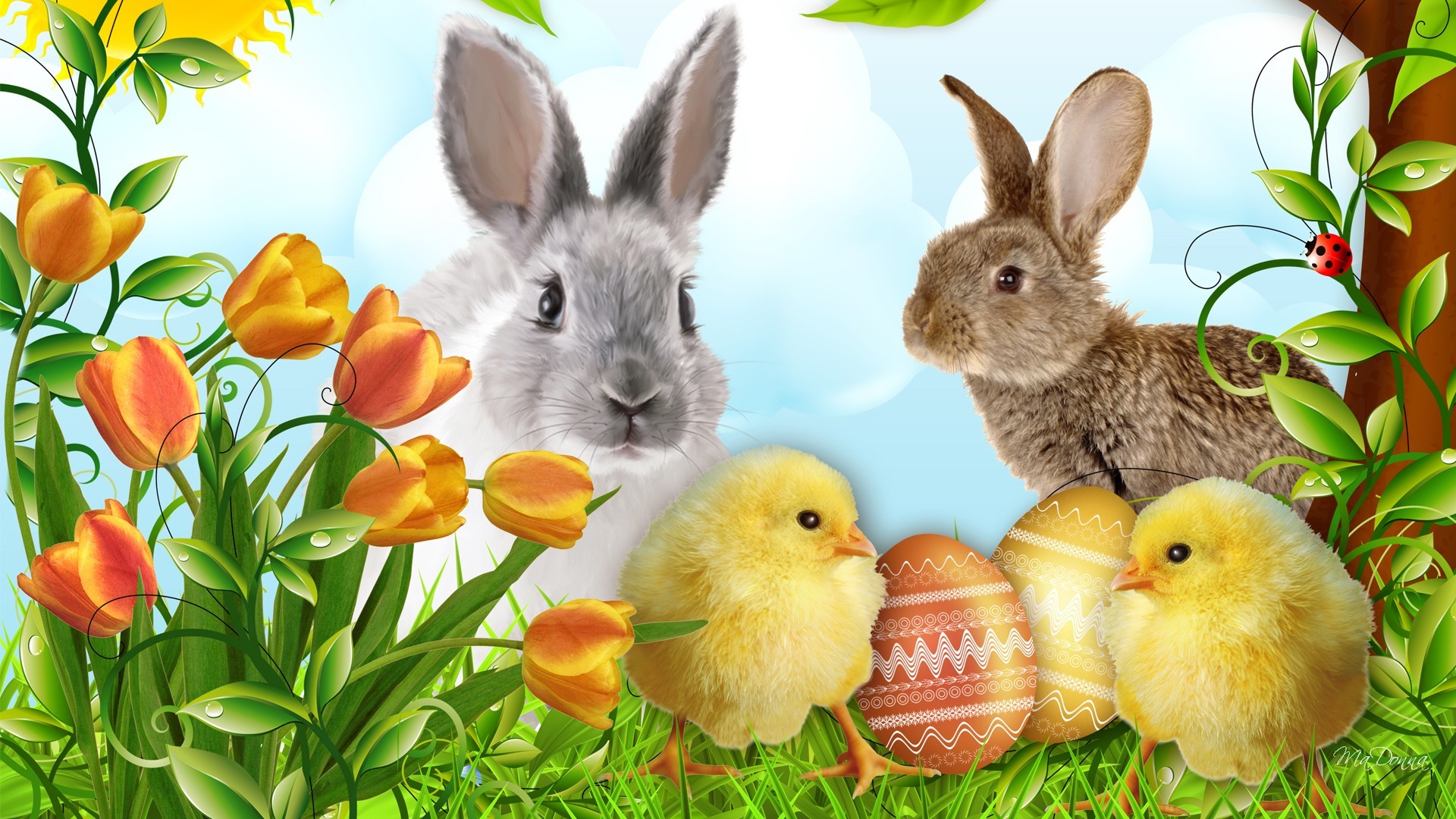 Happy Easter desktop HD wallpaper, HD image. Happy Easter cute bunny