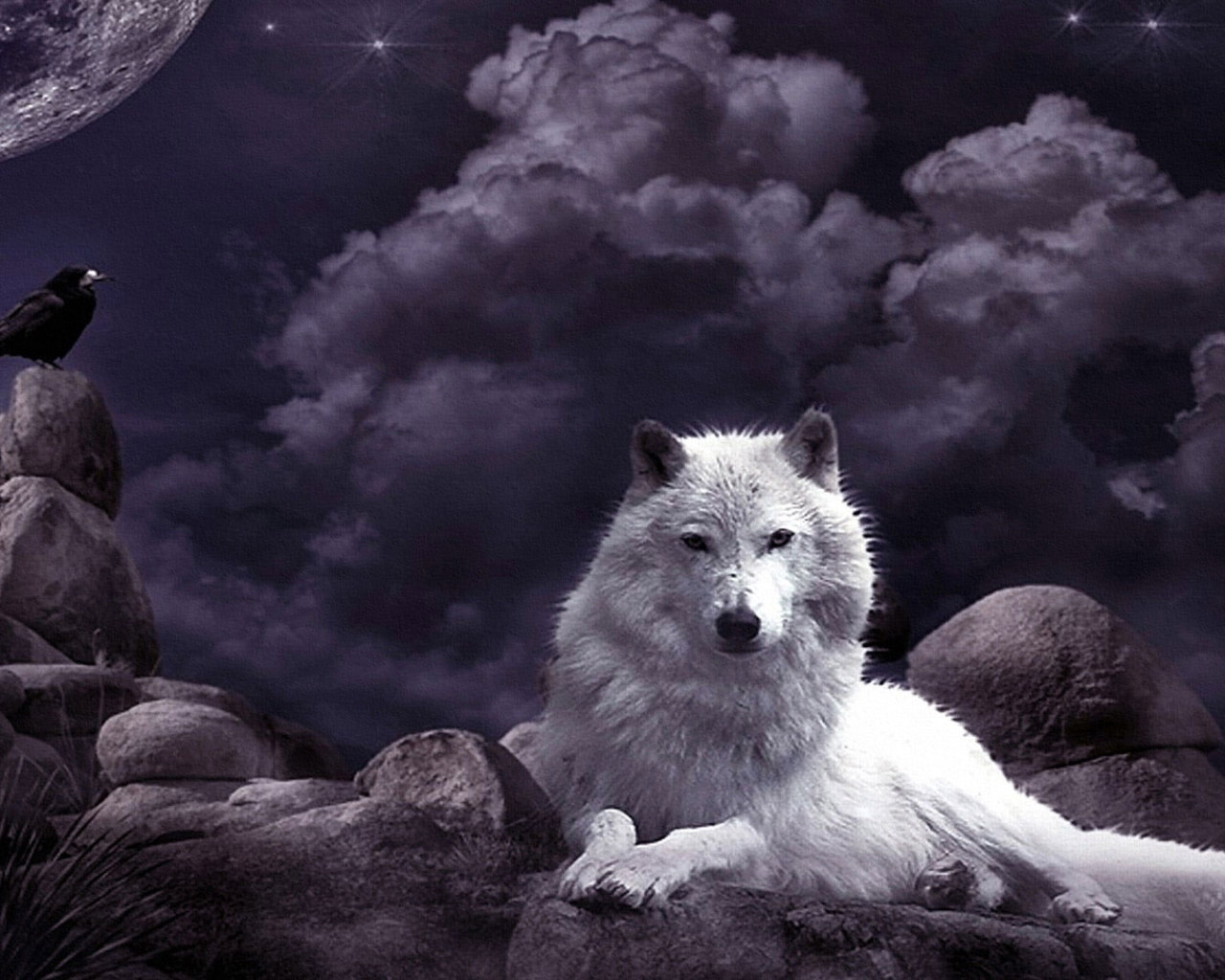 Wolf Wallpaper, Night Sky, Crow, Moon, Fantasy Art, White Wolf, Mystic • Wallpaper For You