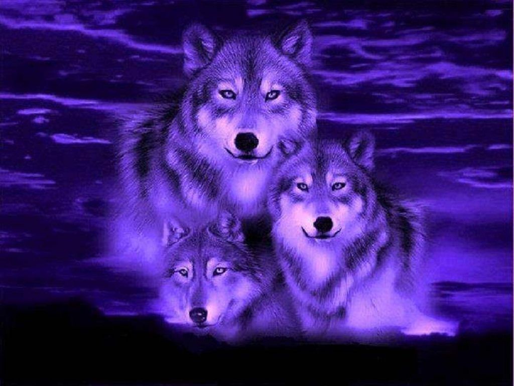 Blue Wolf Wallpaper 2020