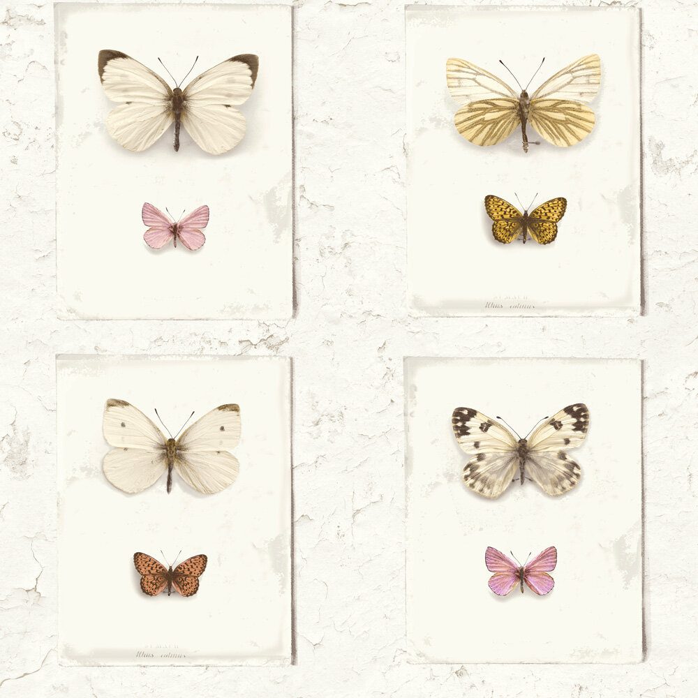 Walls Republic Vintage Butterfly Weathered Rustic Flutter 32.97' x 20.8 Wallpaper