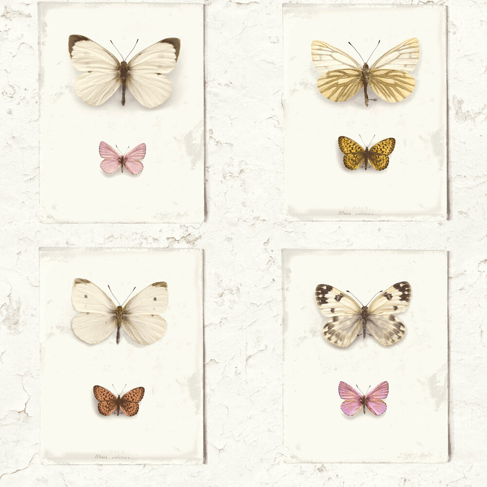 Walls Republic Vintage Butterfly Weathered Rustic Flutter 32.97' x 20.8 Wallpaper