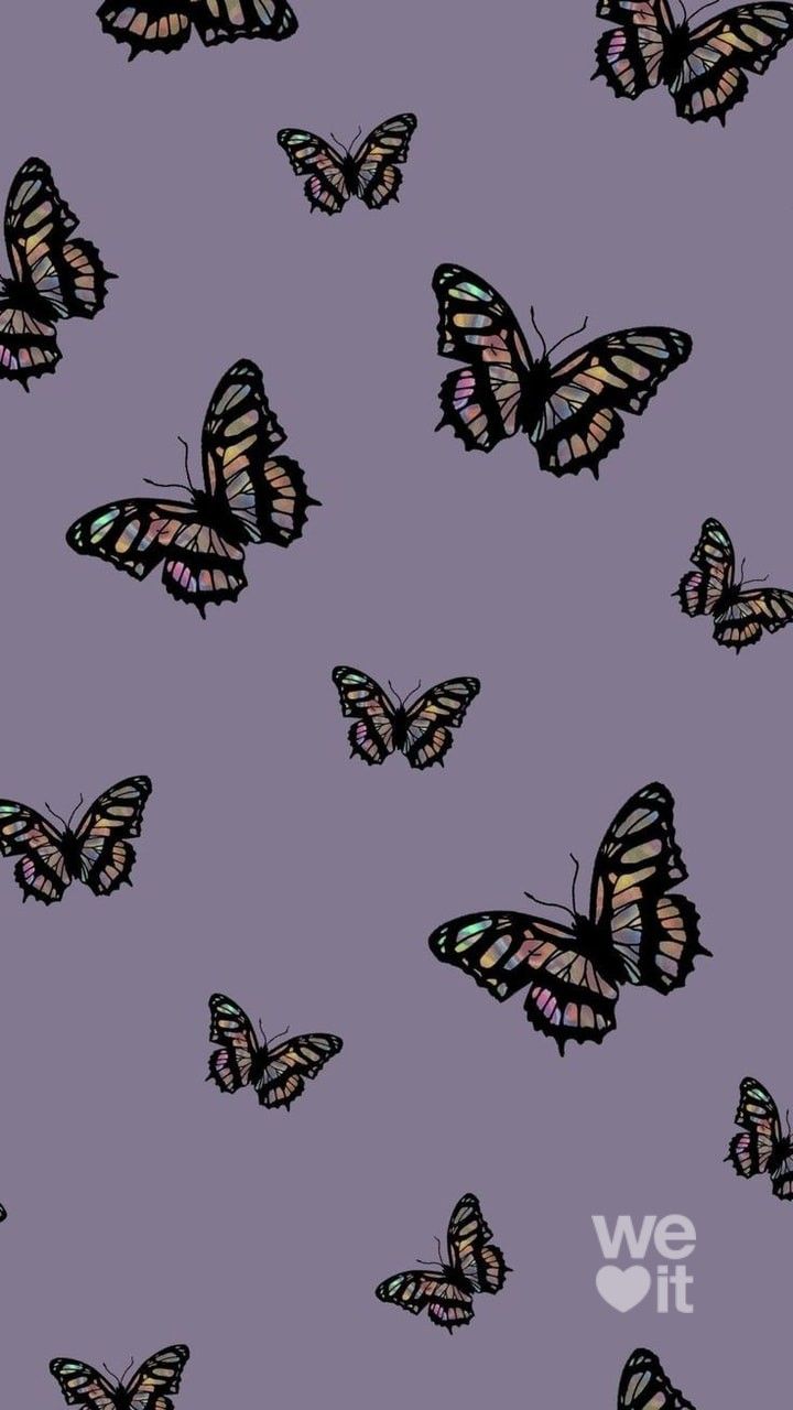 Vintage Butterfly Wallpaper Free Vintage Butterfly Background