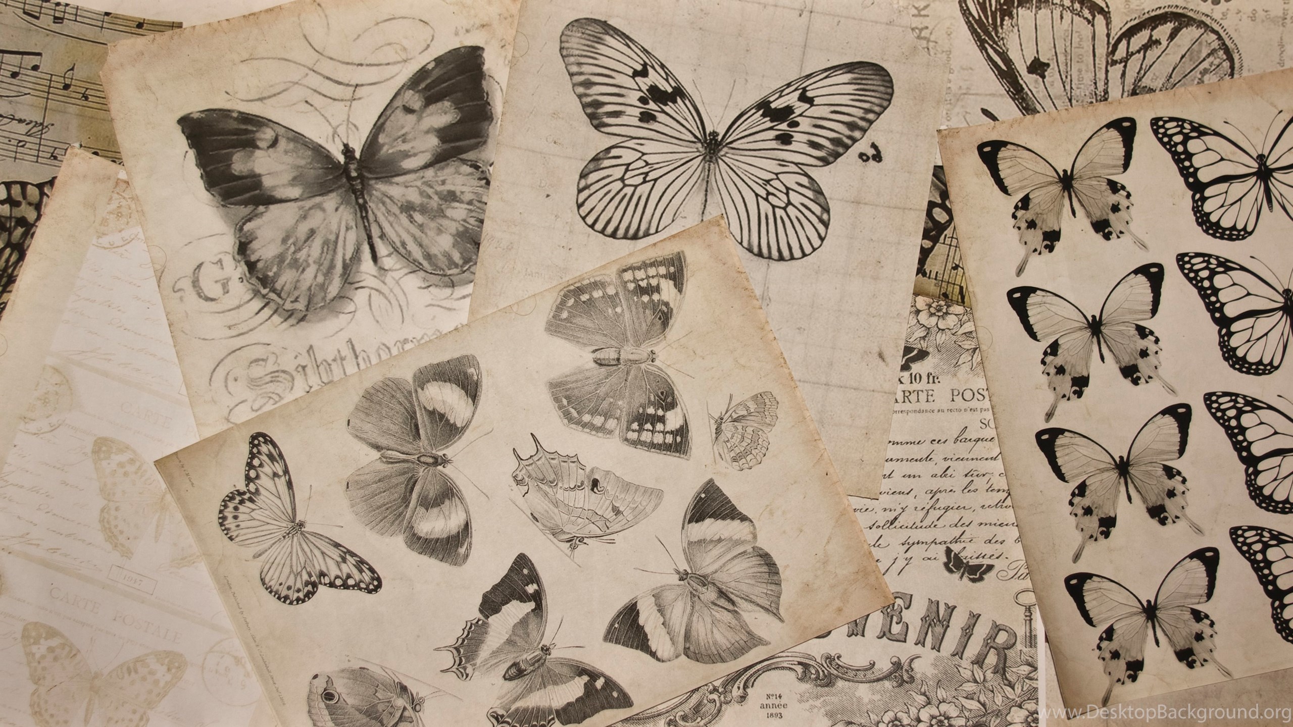 Free Printable Image Vintage Butterflies Background Touch The Wood Desktop Background