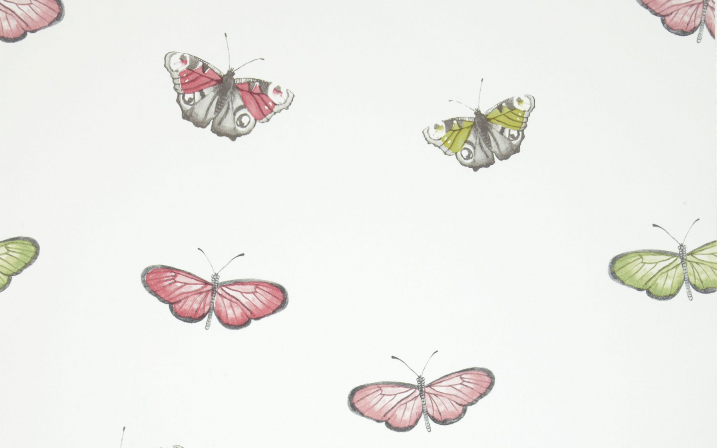 Free download iliv Butterfly Vintage Wallpaper Chintz [2531x2531] for your Desktop, Mobile & Tablet. Explore Vintage Butterfly Wallpaper. Wallpaper with Butterflies, Butterfly Wallpaper, Flower Butterfly Wallpaper