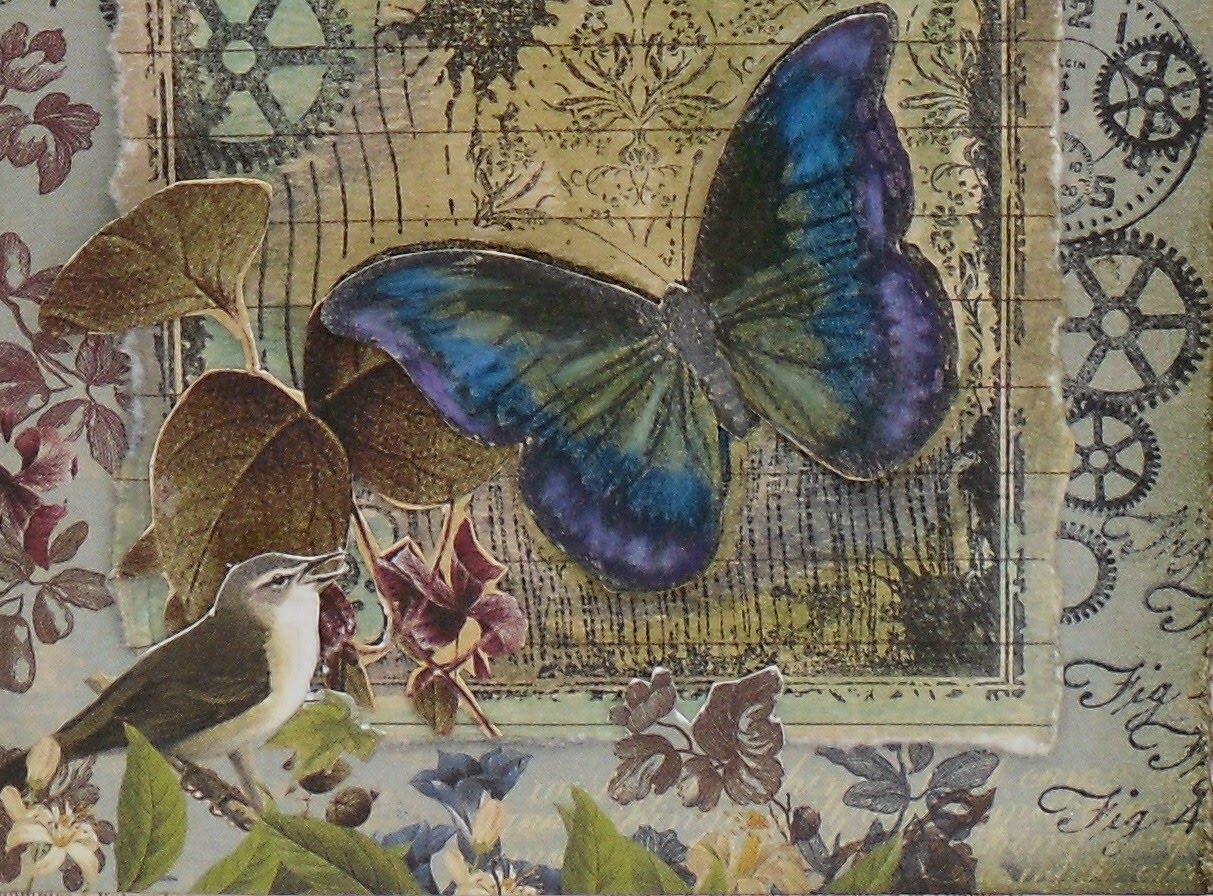 A Splash of Colour: Vintage Butterfly