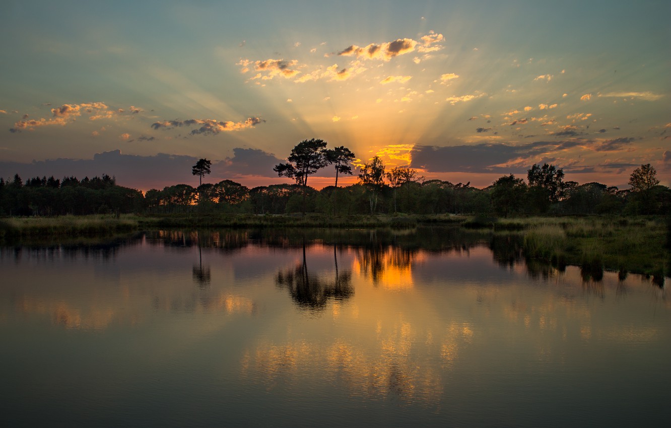 Wallpaper summer, trees, sunset, lake image for desktop, section пейзажи