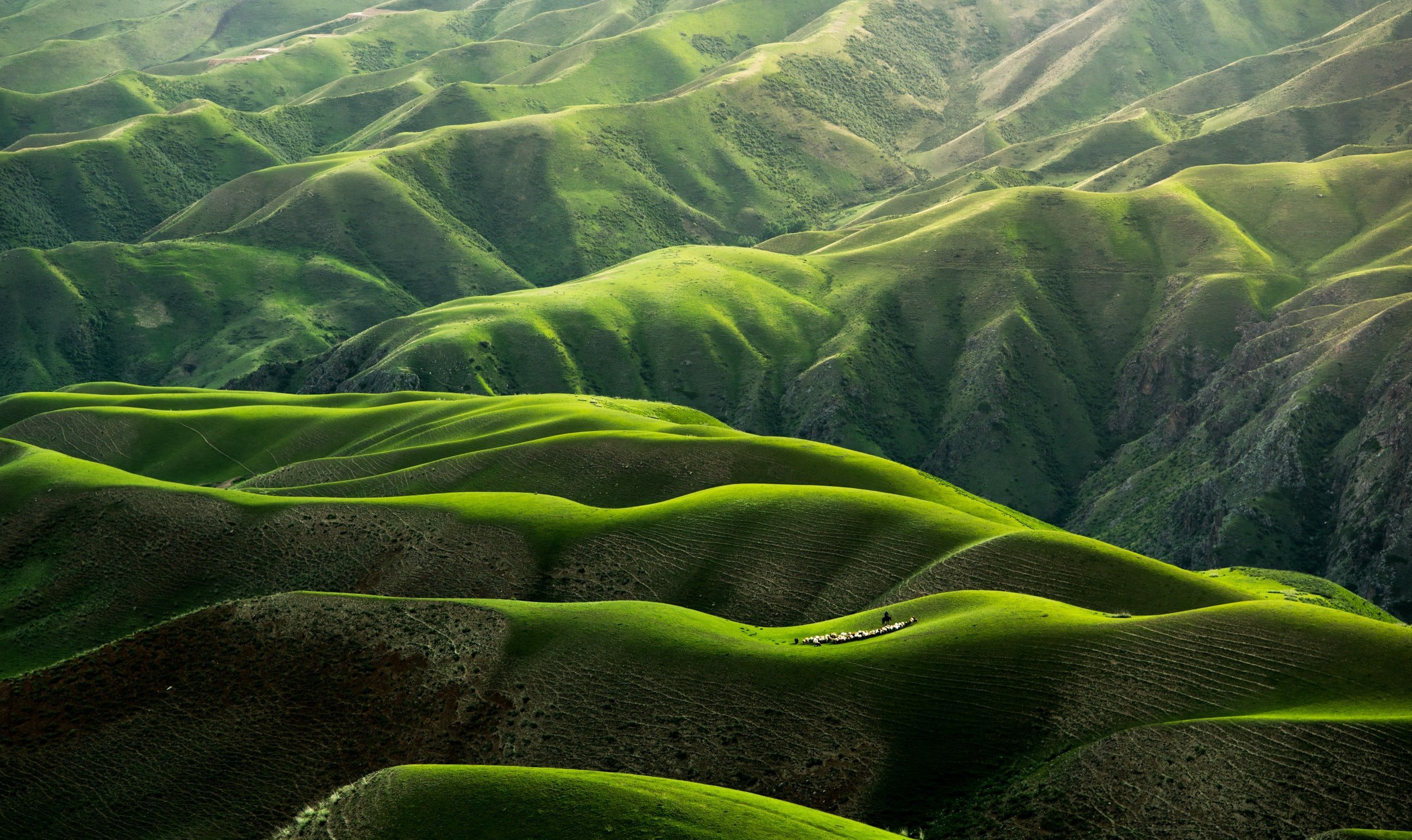 Xinjiang Wallpaper