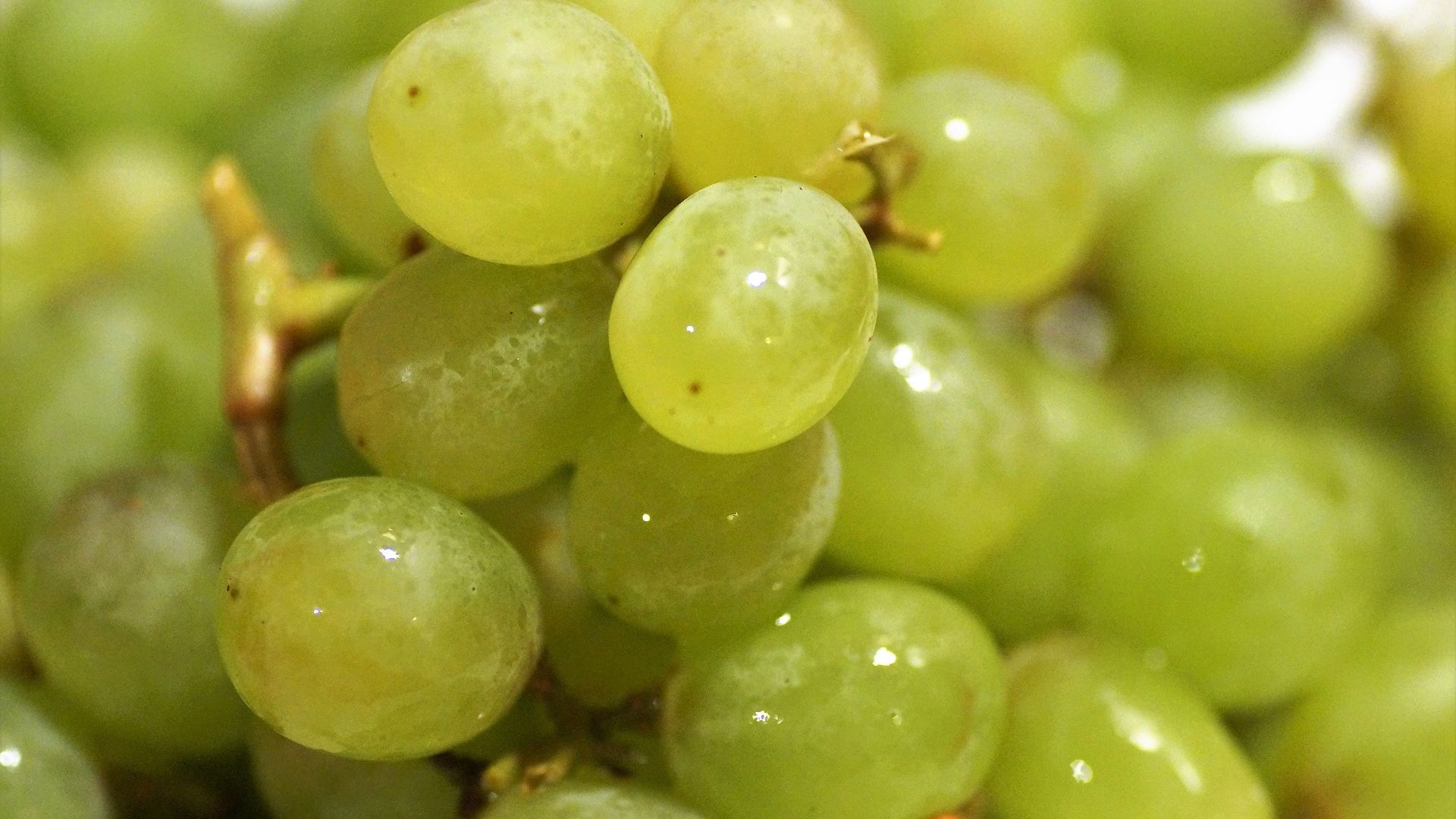 Desktop Wallpaper Fresh Fruit, Green Grapes, Close Up, HD Image, Picture, Background, B7hl Q