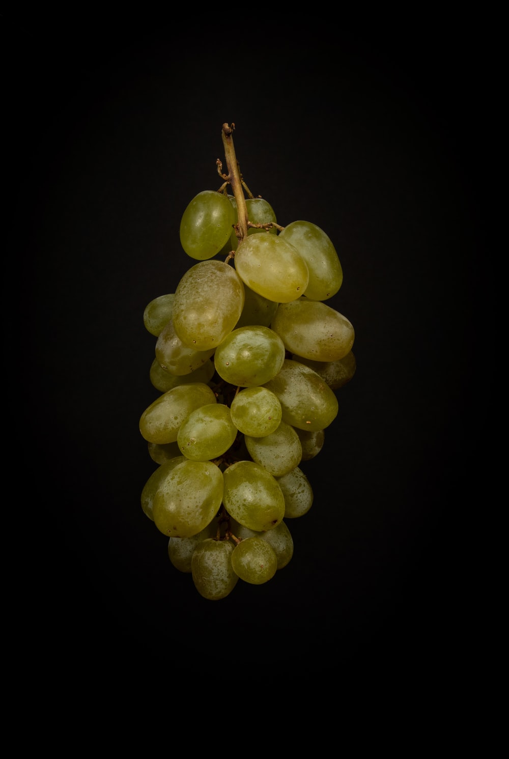 green grape fruits photo