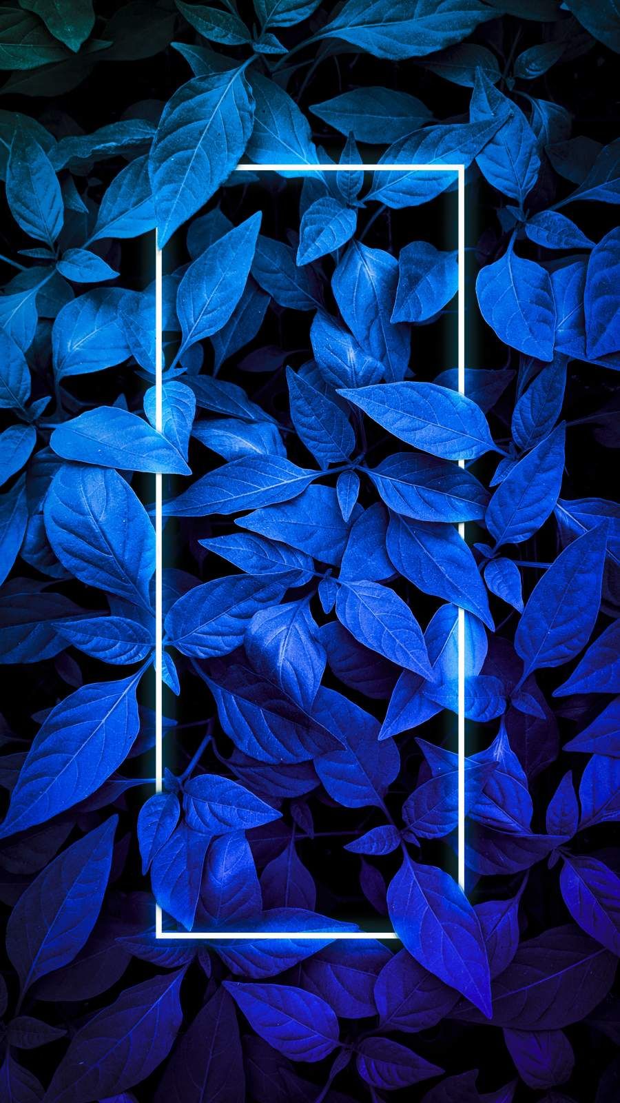 iPhone Wallpaper for iPhone iPhone iPhone X, iPhone XR, iPhone 8 Plus High Quality. iPhone wallpaper photo, Neon light wallpaper, Blue wallpaper iphone