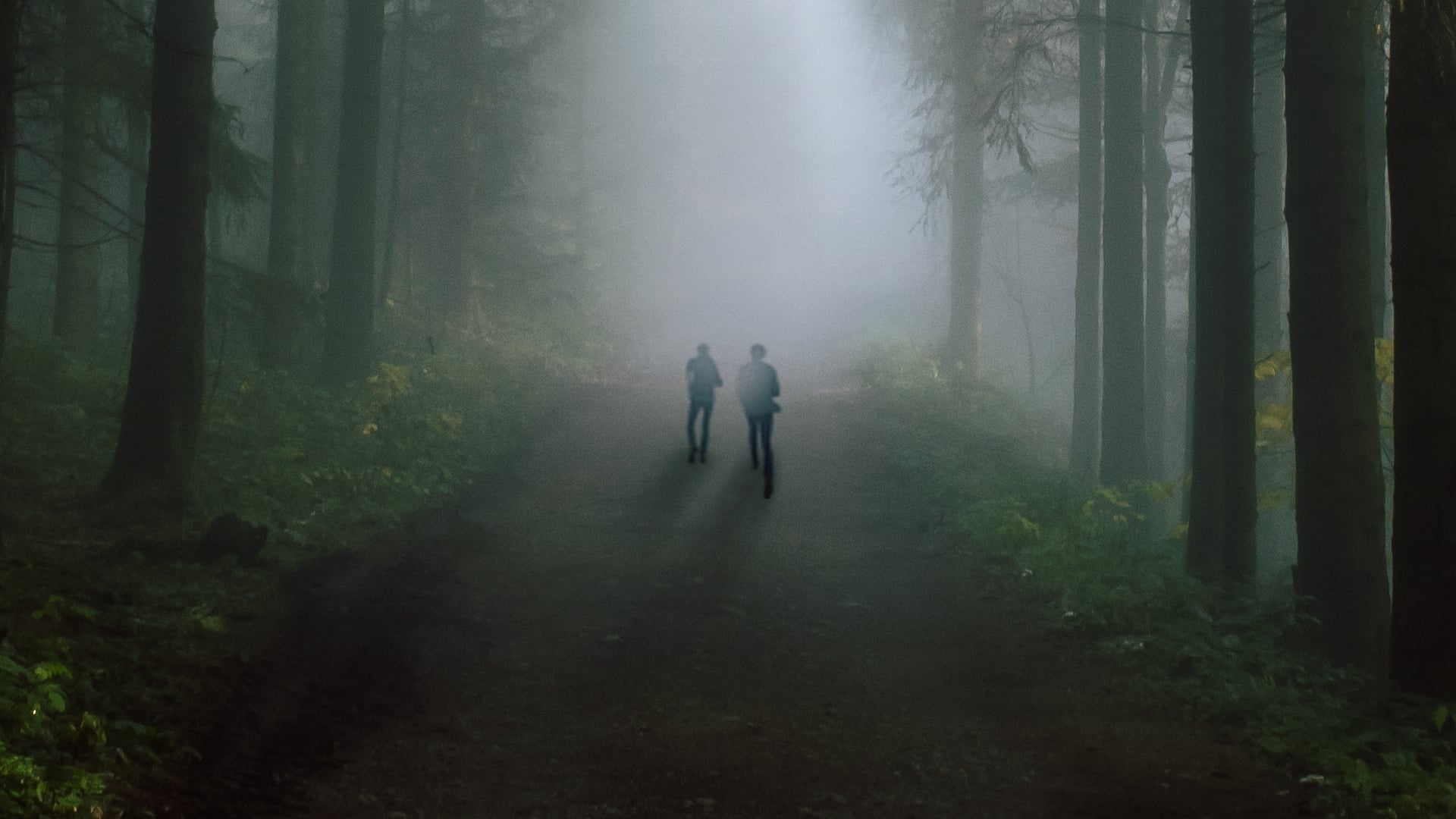 Eyewitness (TV Series 2016 2016)