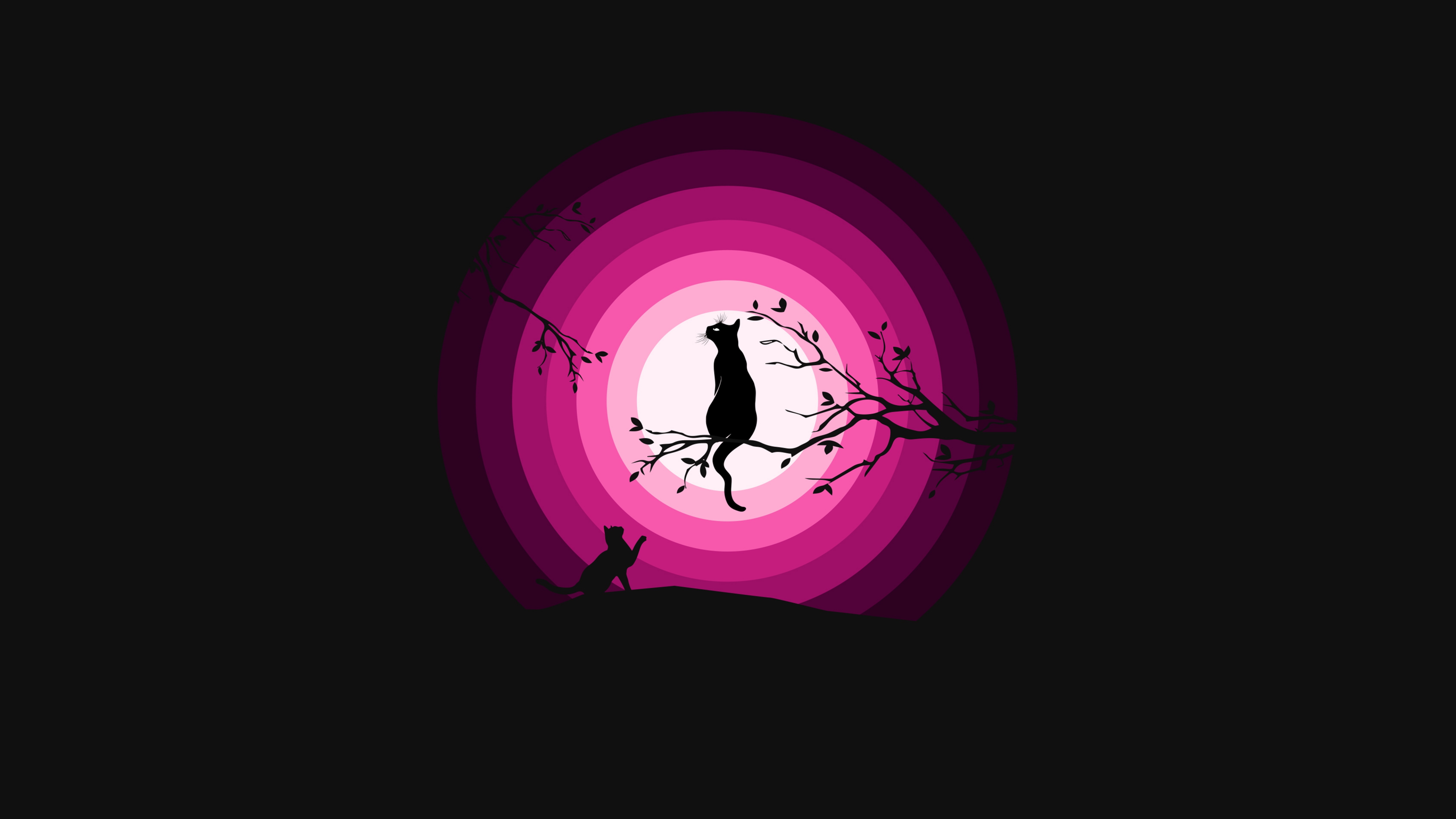 Cats Wallpaper 4K, Moon, Pink, Silhouette, Black Background, Black Dark