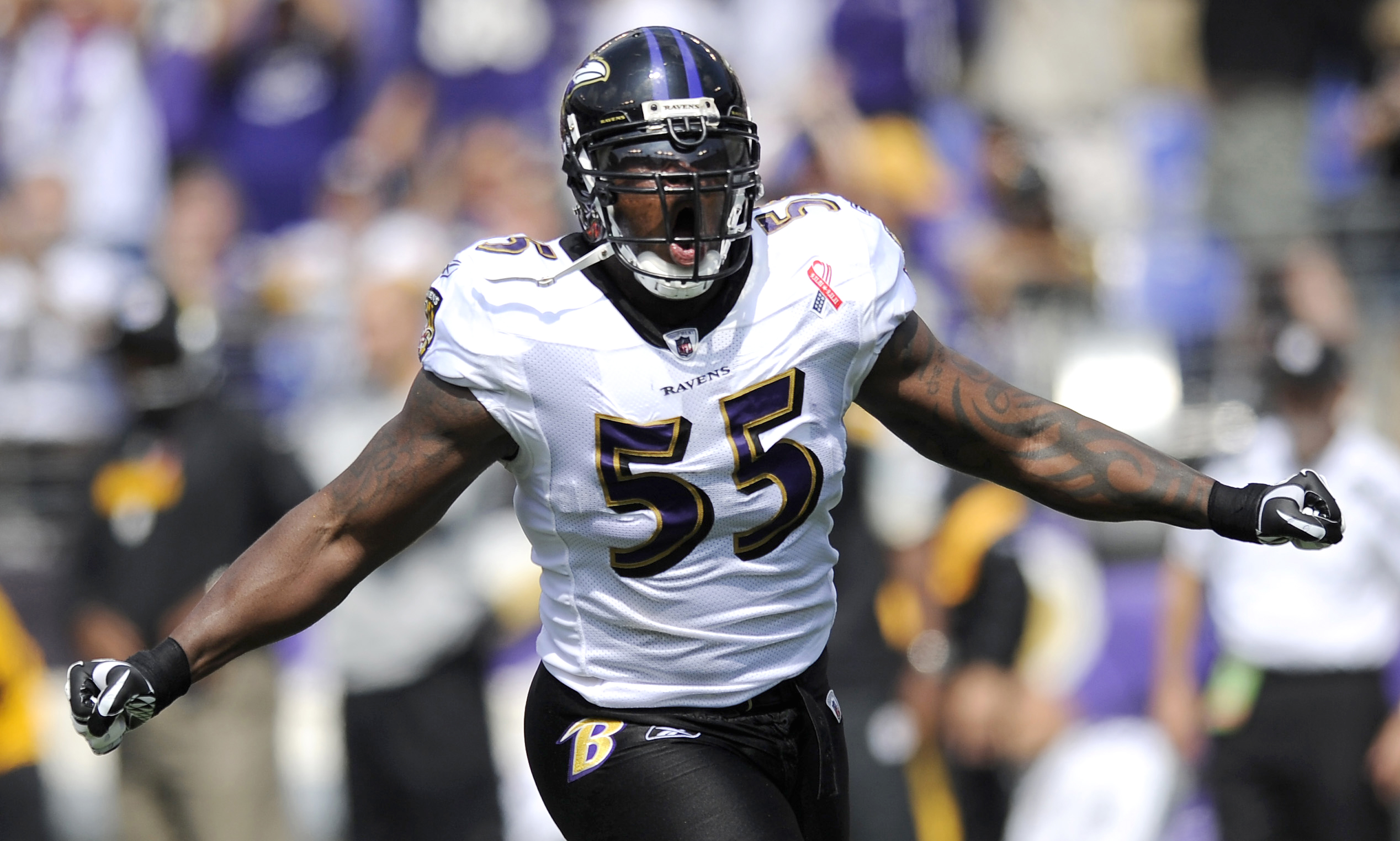 Baltimore Ravens, Terrel Suggs, NFL HD Wallpapers / Desktop and Mobile  Images & Photos