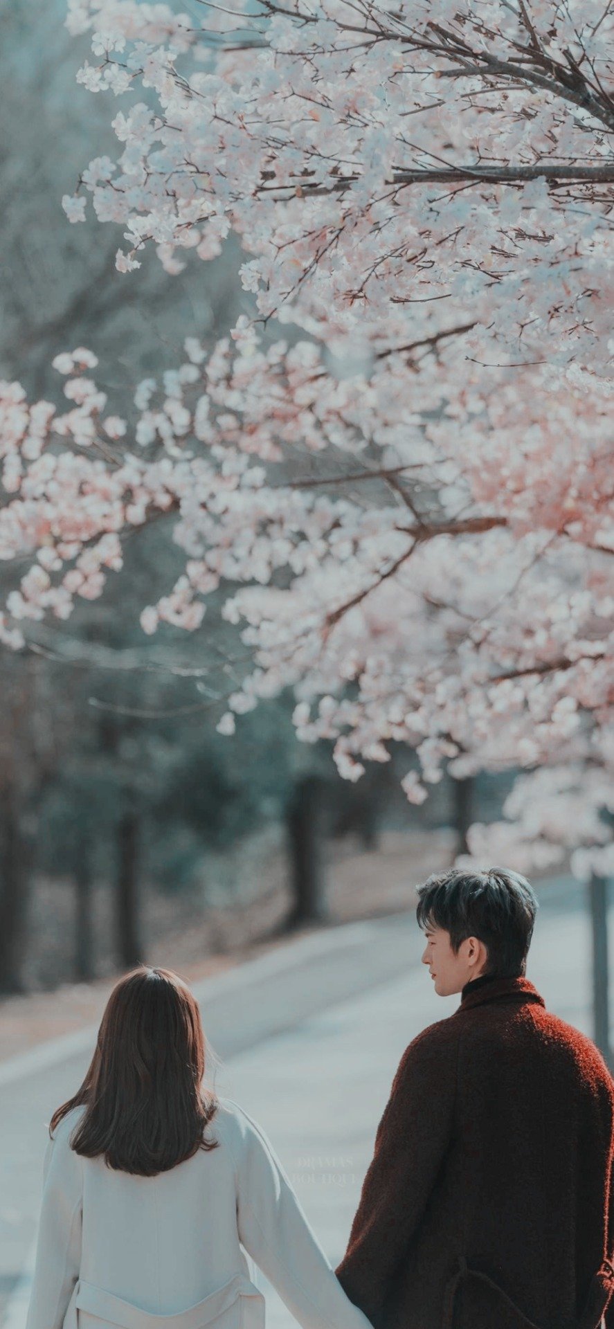 korean drama wallpaper