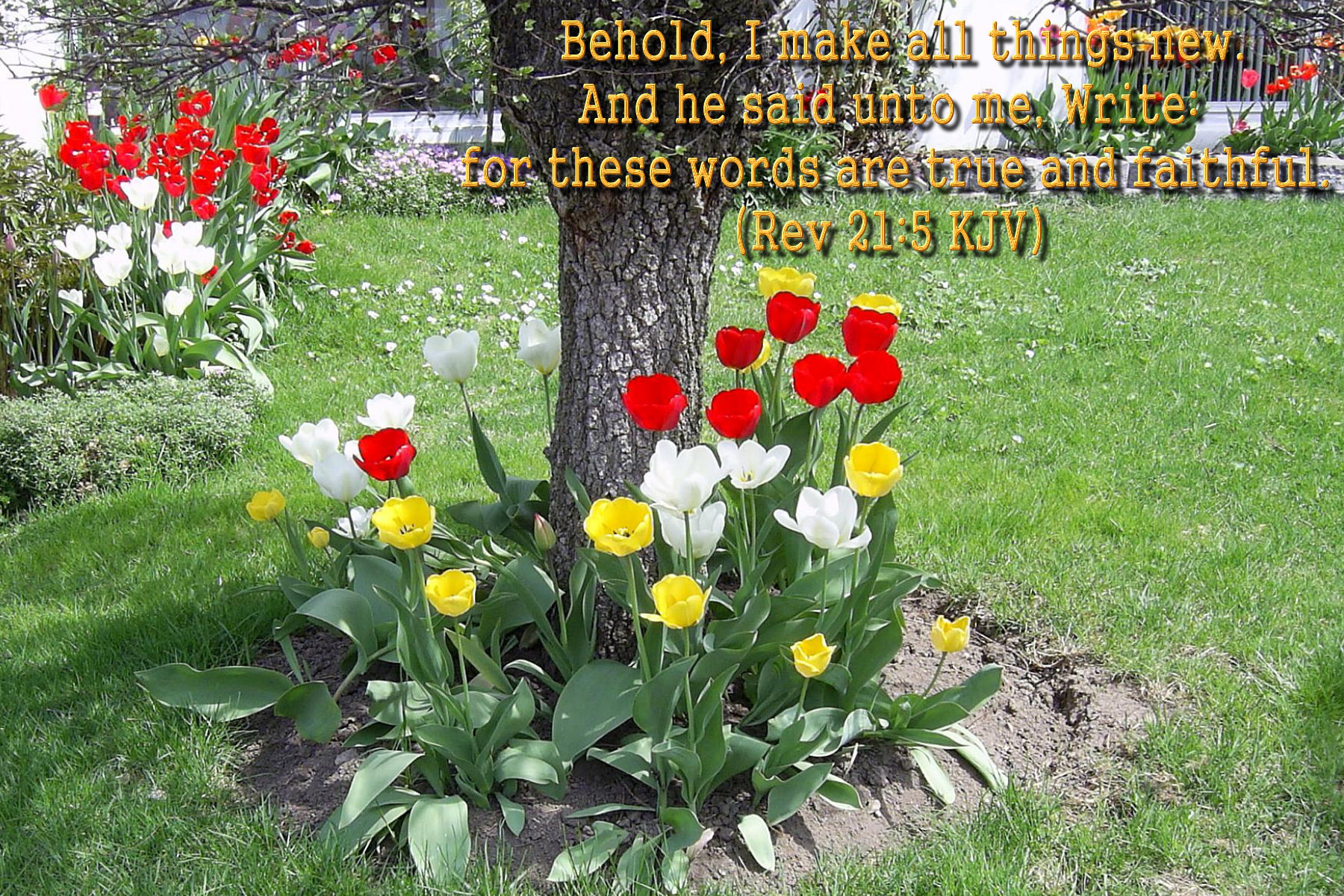 Spring Wallpaper with Scripture