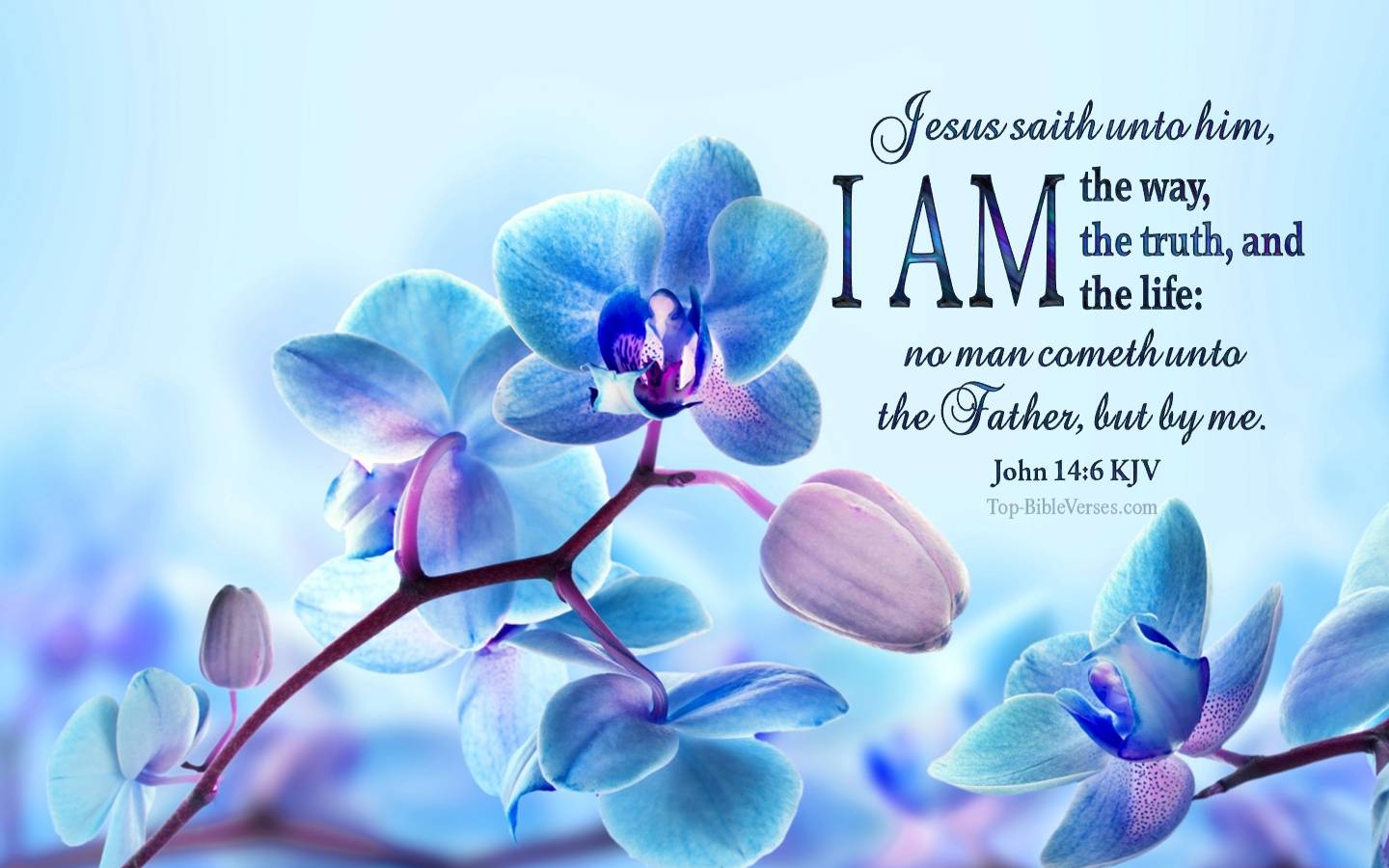 Laptop Spring Bible Verses Wallpapers Wallpaper Cave